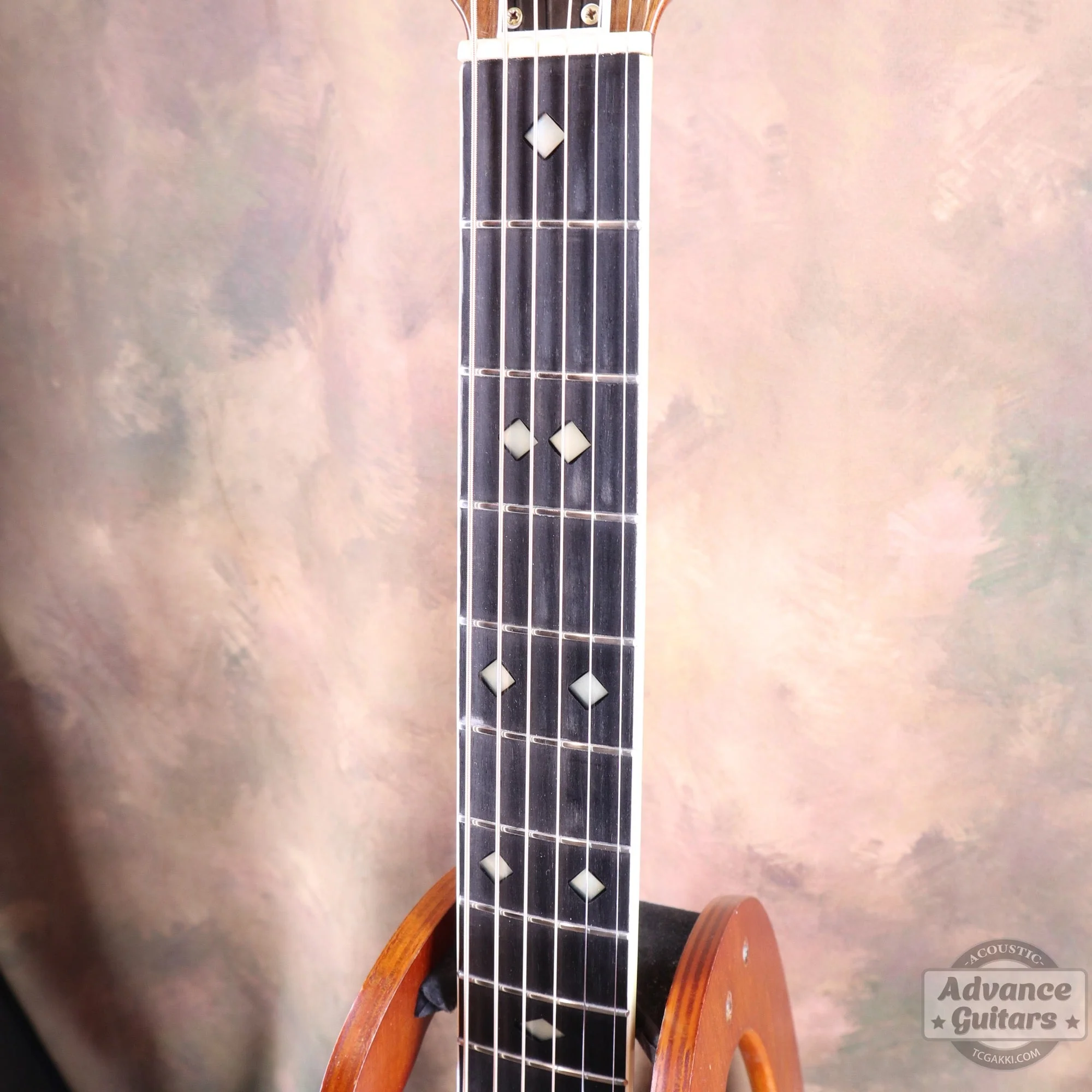 1627-4 GLEN CAMPBELL - Image 15