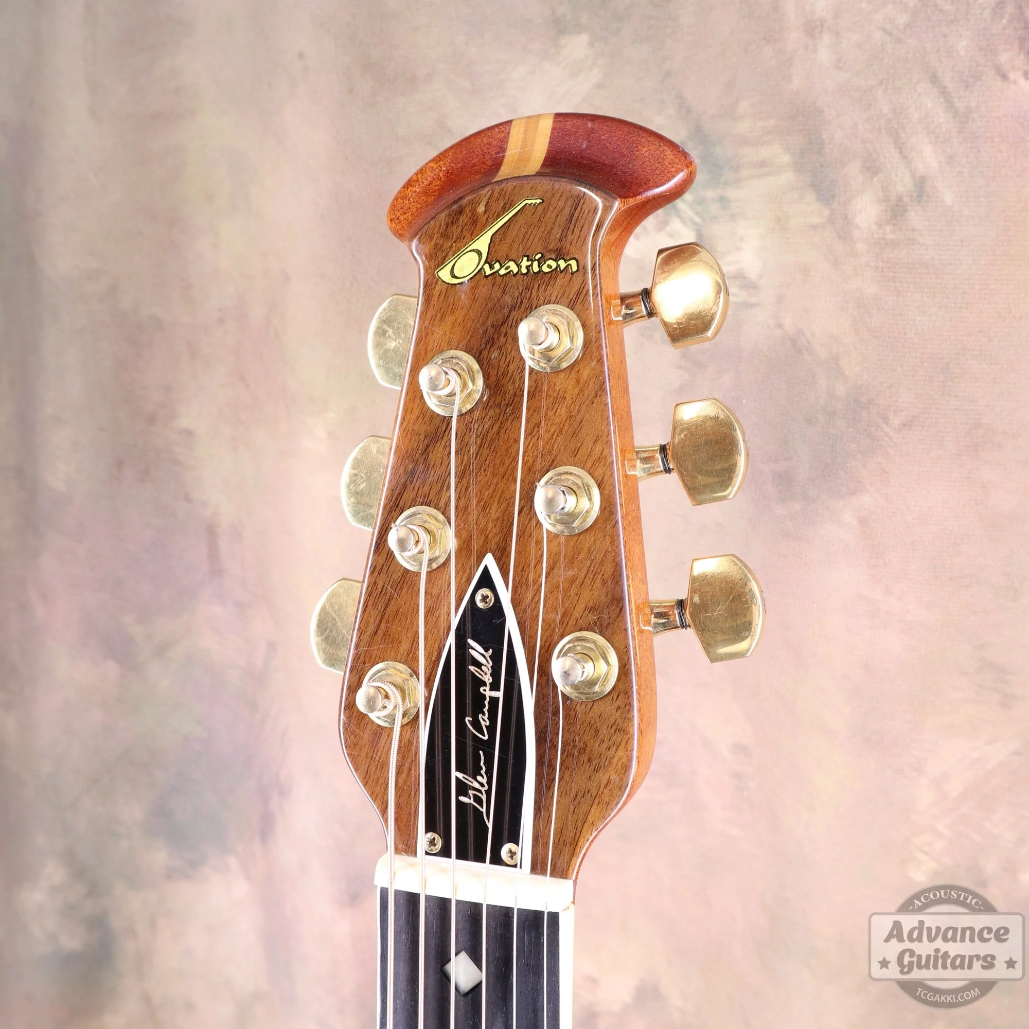 1627-4 GLEN CAMPBELL - Image 16