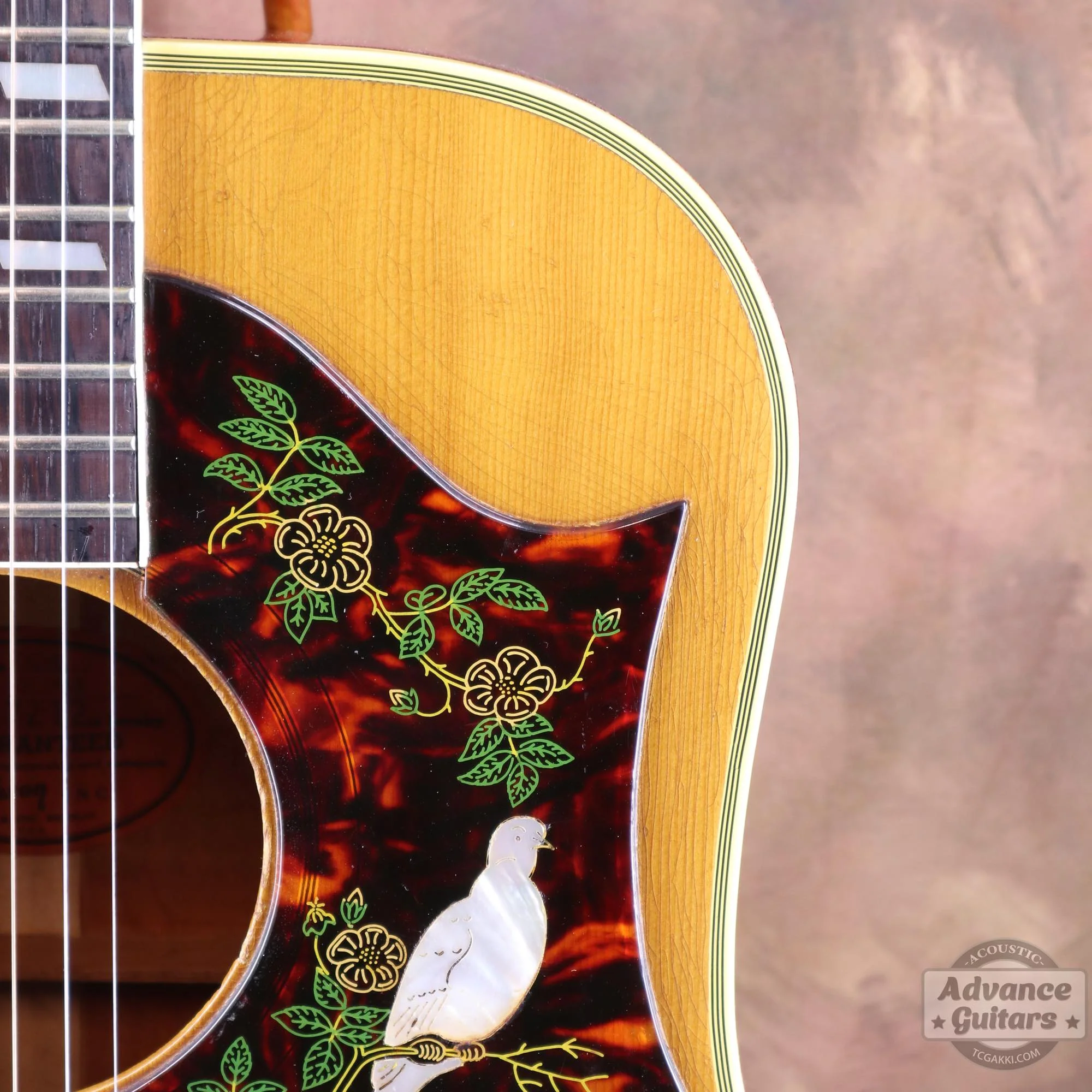 1963年製 Dove Natural - Image 6