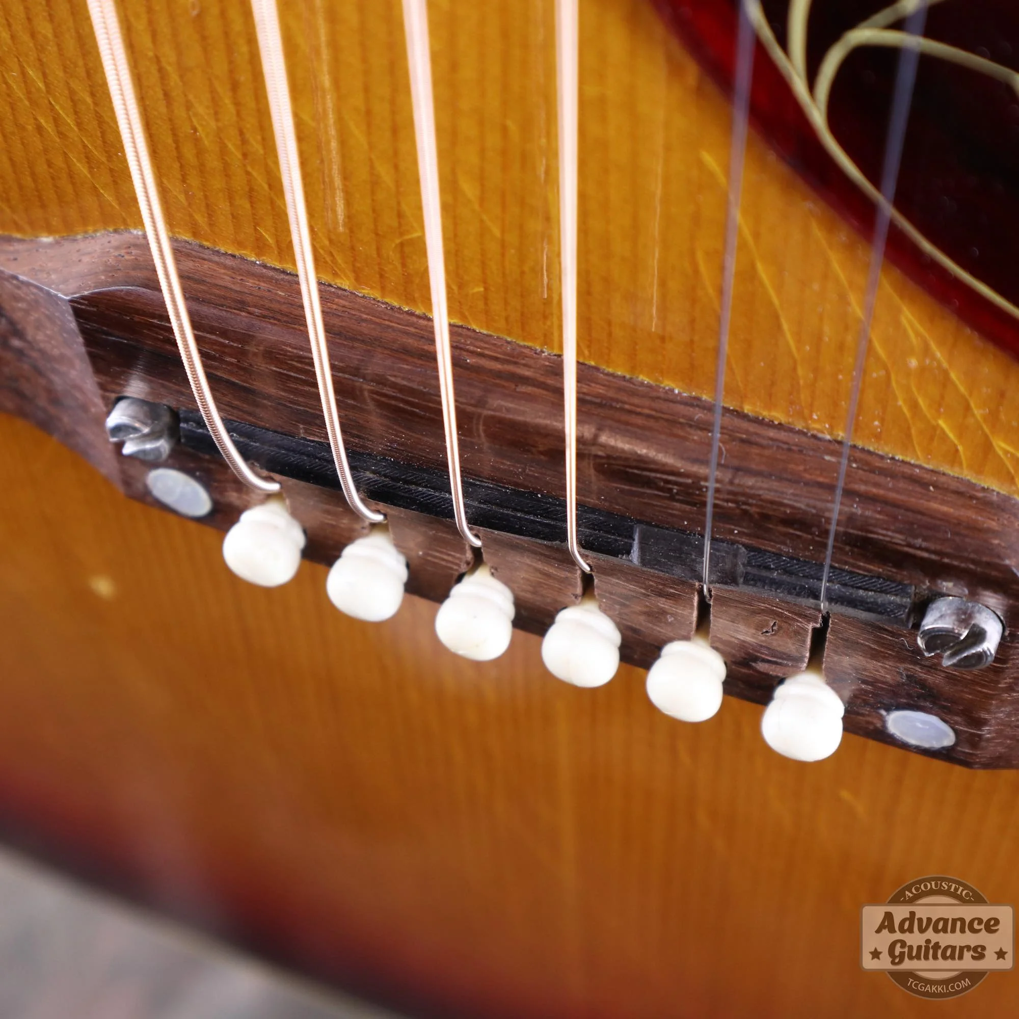 1963年製 Hummingbird Maple - Image 13