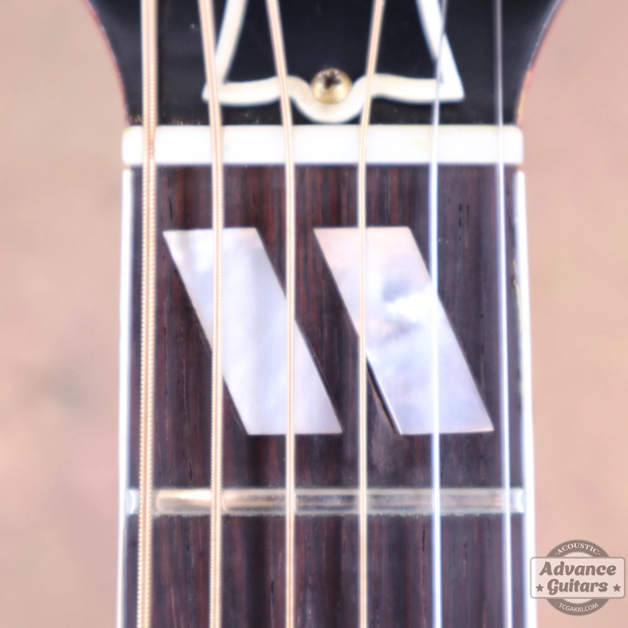 1963年製 Hummingbird Maple - Image 32