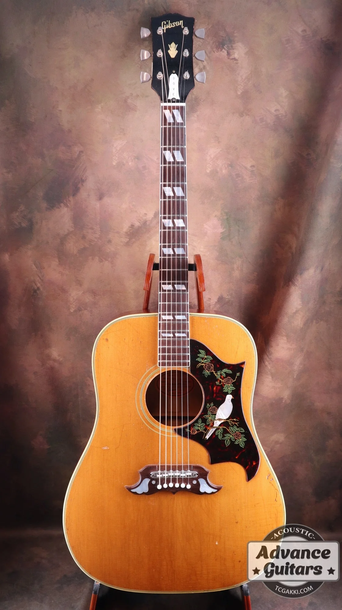 1965年製 Dove Natural - Image 11
