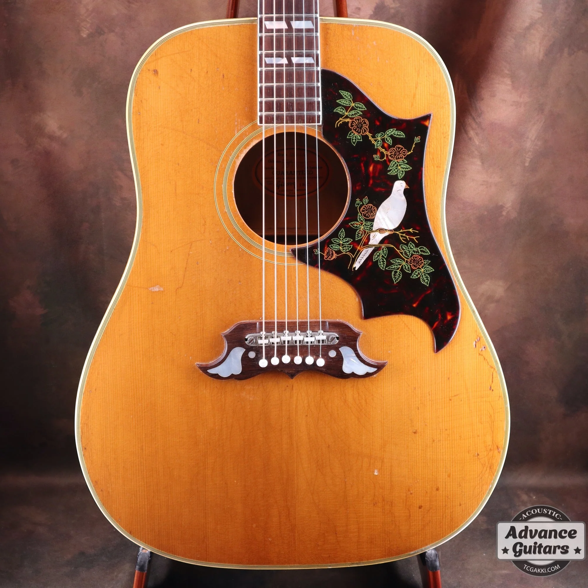 1965年製 Dove Natural - Image 12