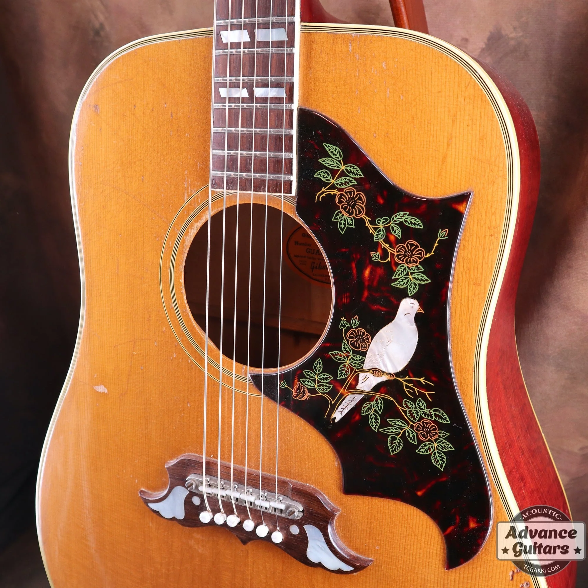 1965年製 Dove Natural - Image 17