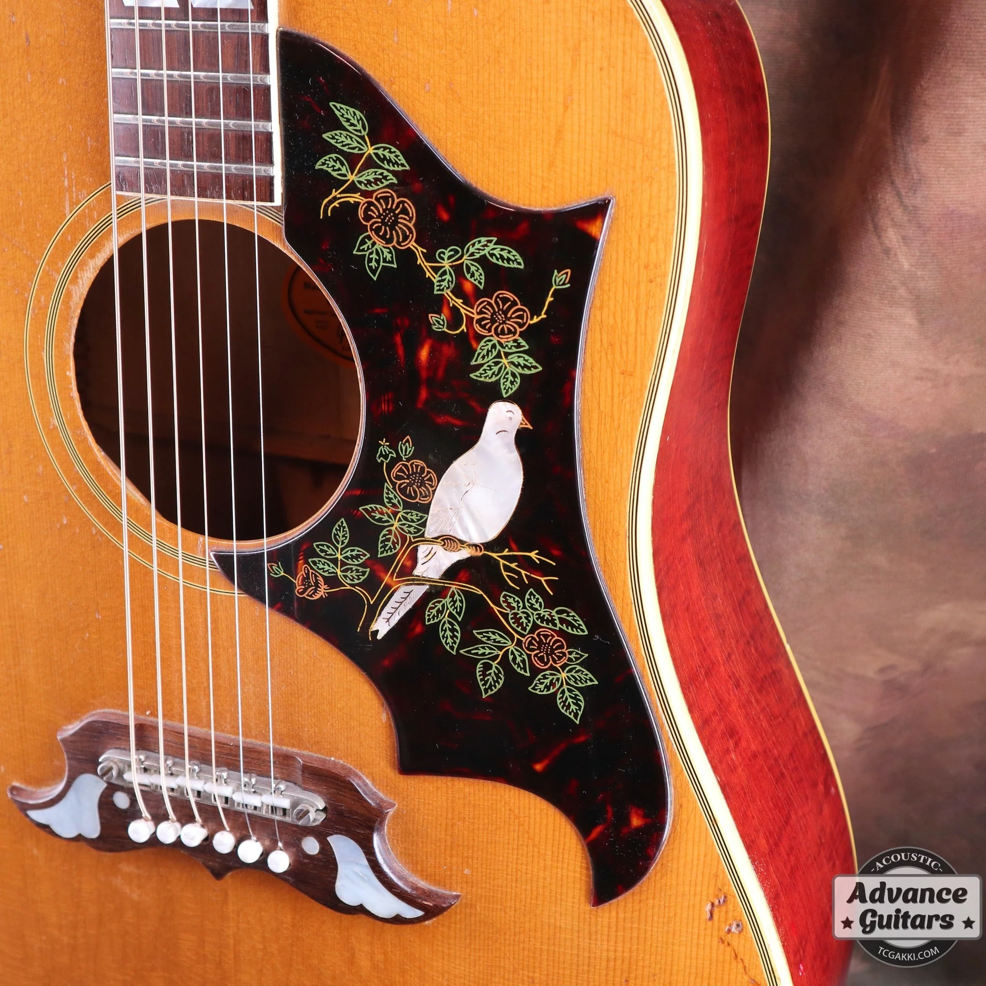 1965年製 Dove Natural - Image 19