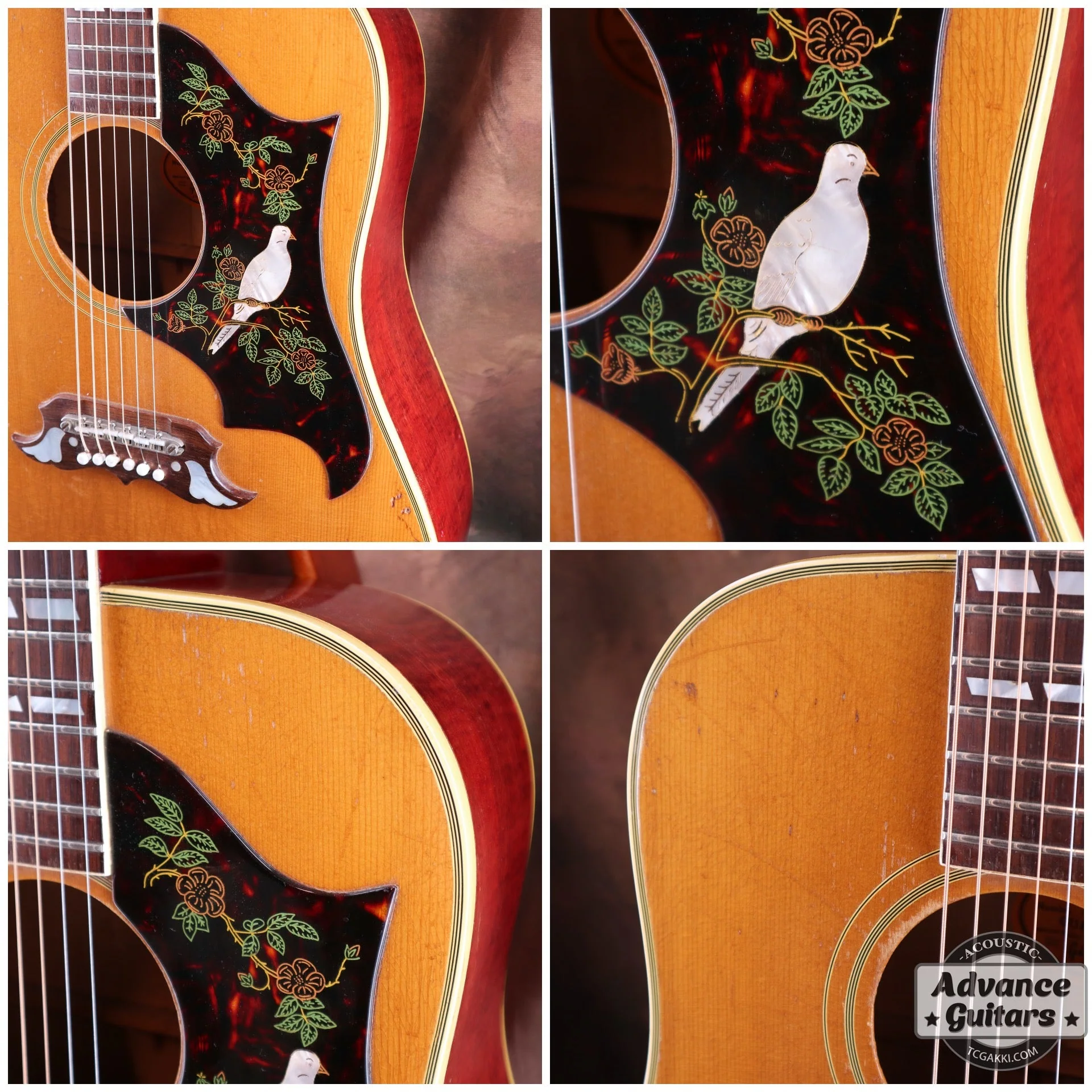 1965年製 Dove Natural - Image 6