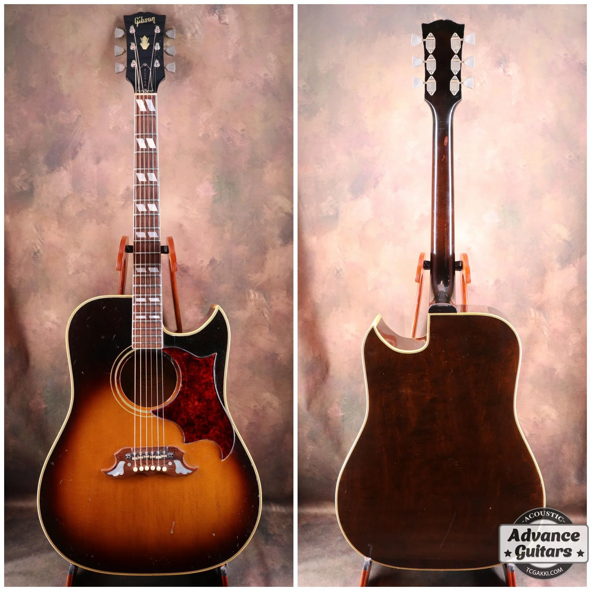 1966年製 Dove Cutaway Custom