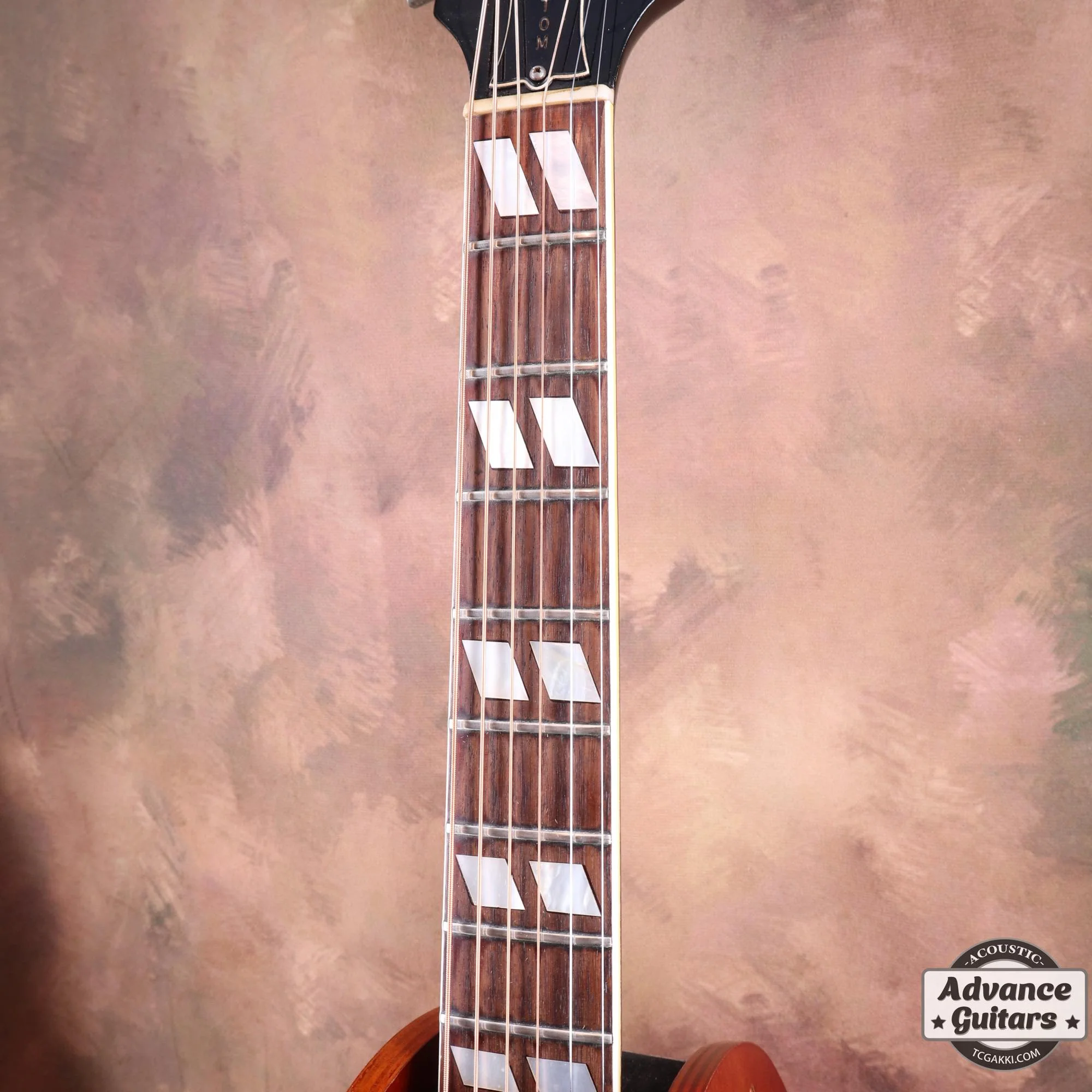 1966年製 Dove Cutaway Custom - Image 11