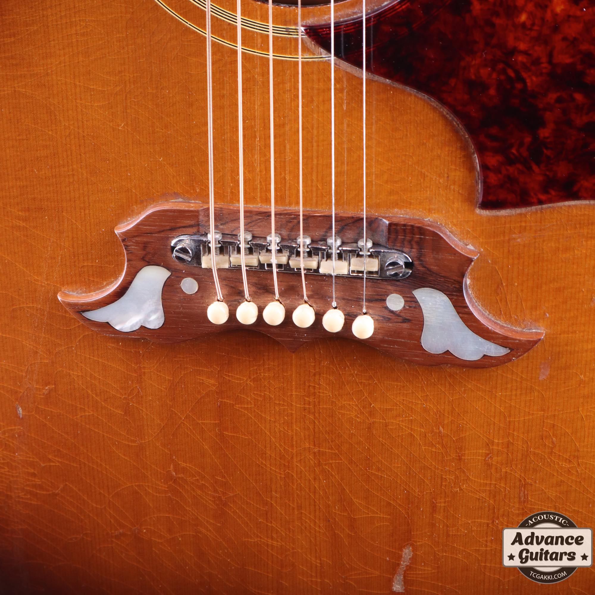 1966年製 Dove Cutaway Custom - Image 15