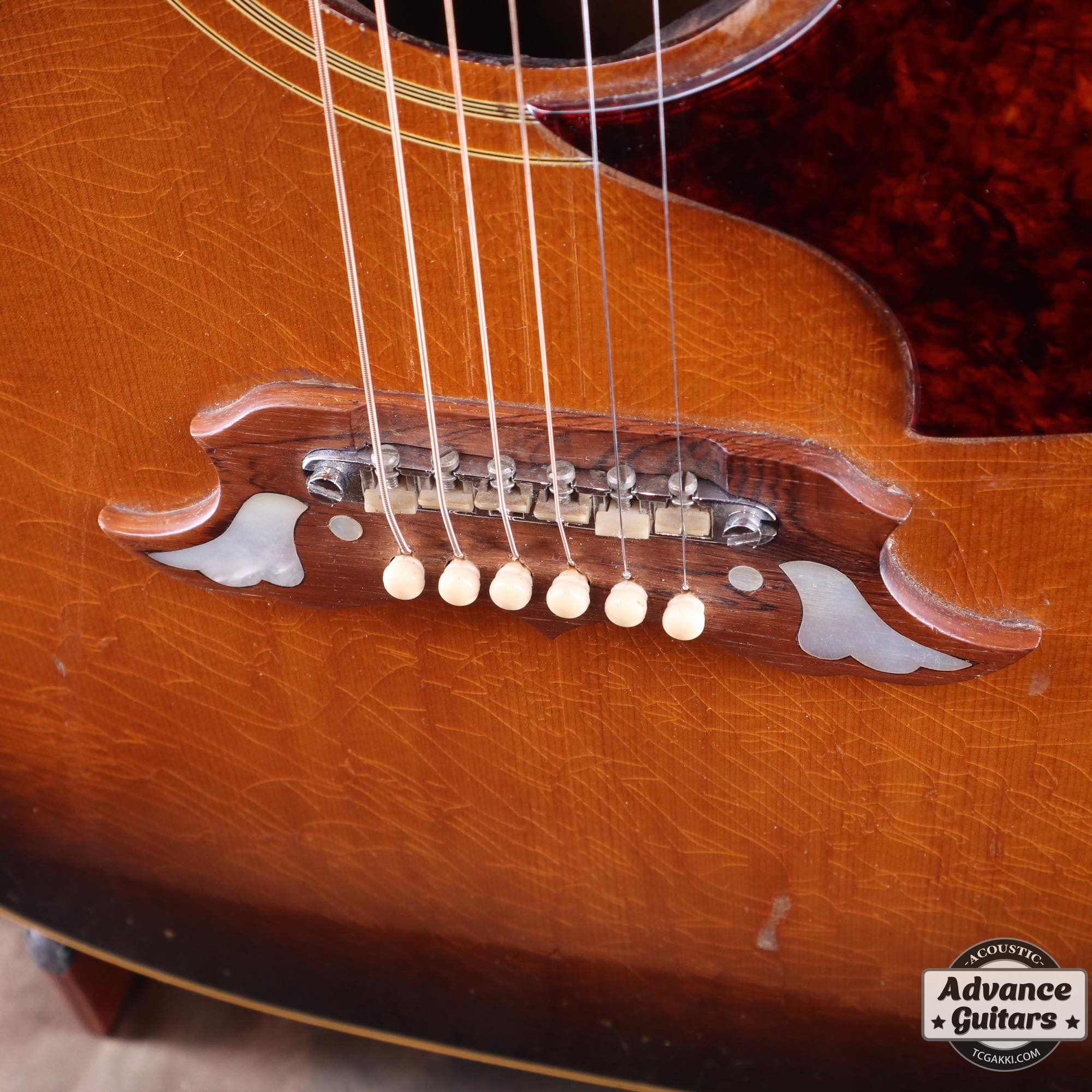 1966年製 Dove Cutaway Custom - Image 16