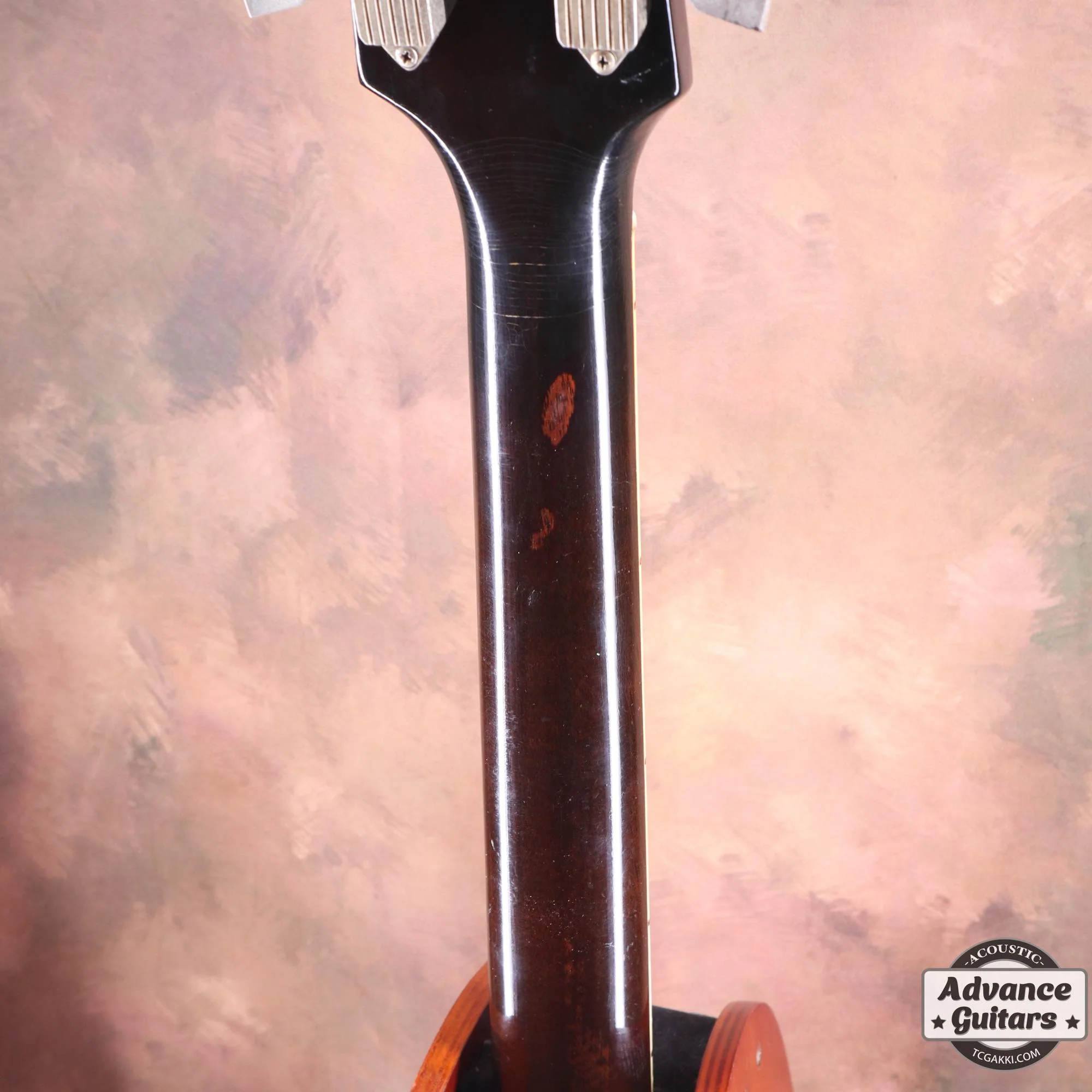 1966年製 Dove Cutaway Custom - Image 21