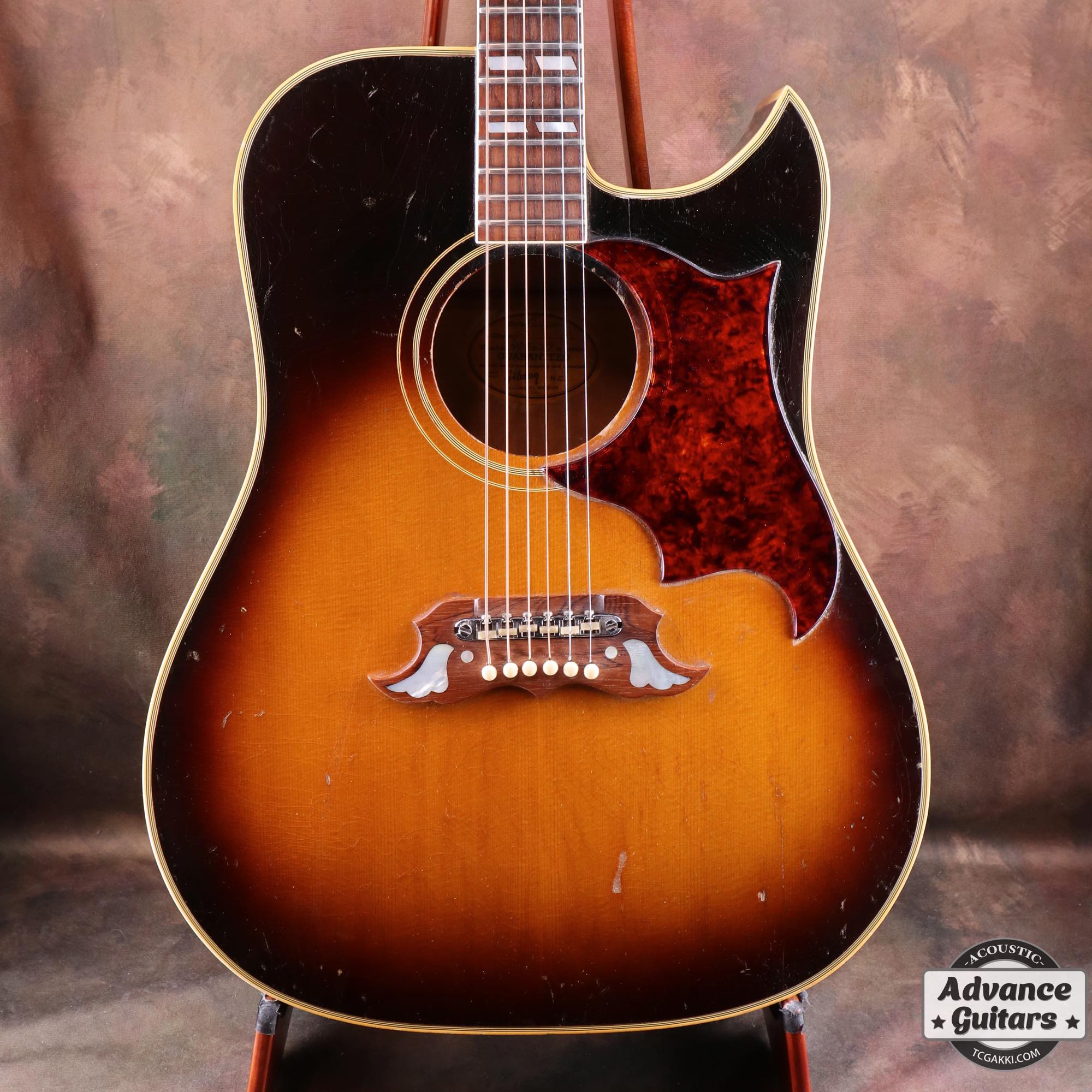 1966年製 Dove Cutaway Custom - Image 3