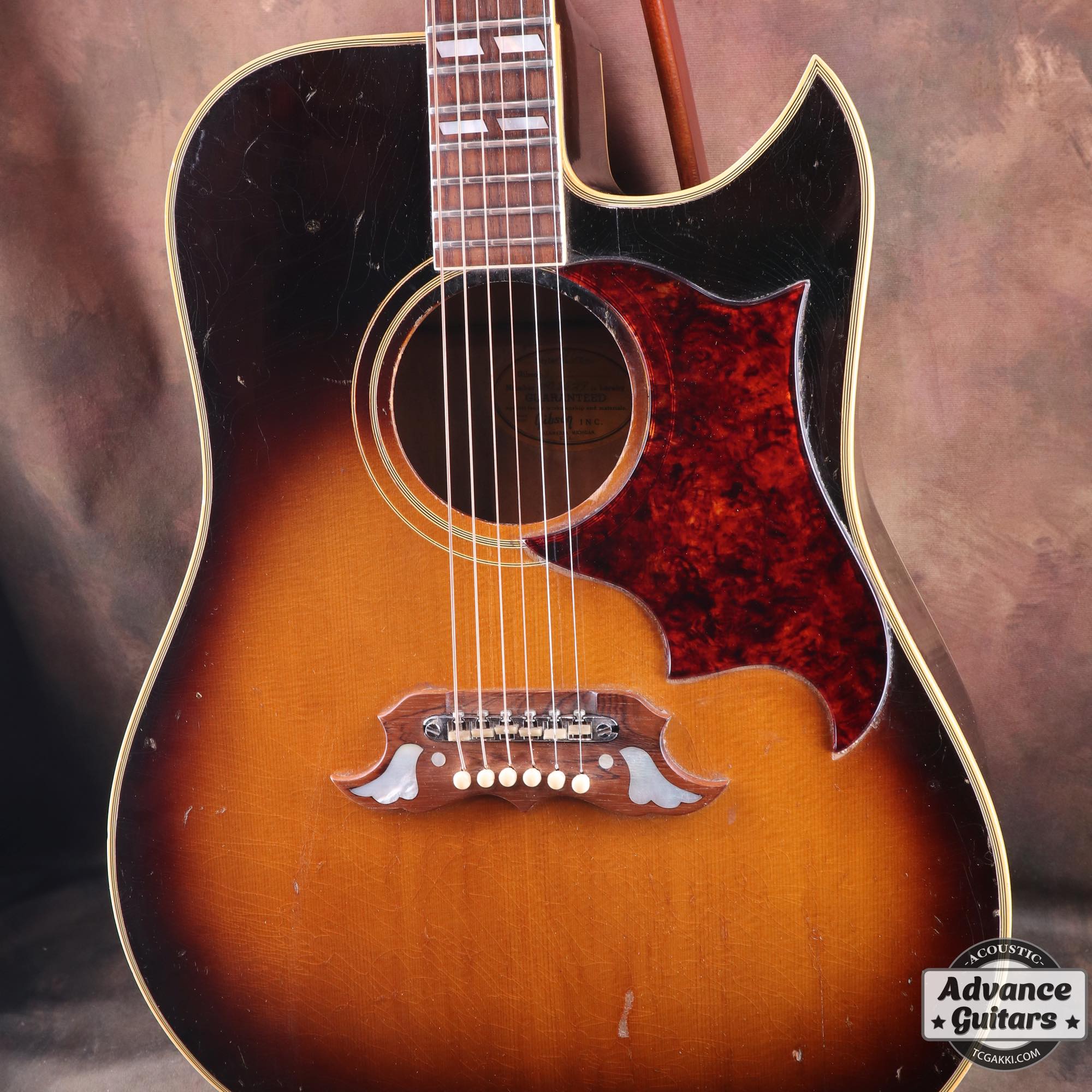 1966年製 Dove Cutaway Custom - Image 4