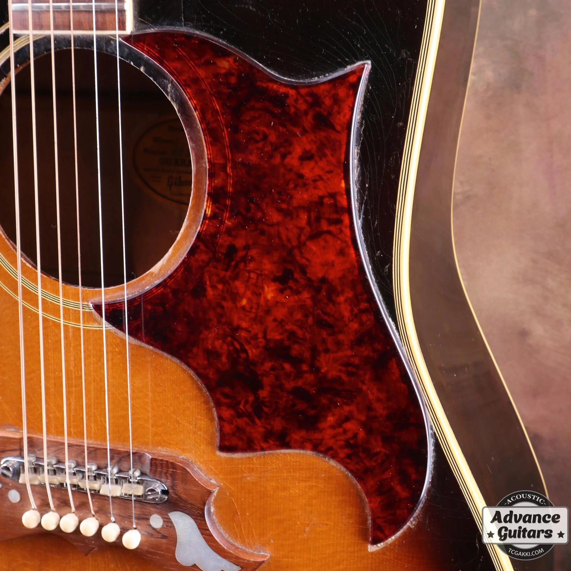 1966年製 Dove Cutaway Custom - Image 5