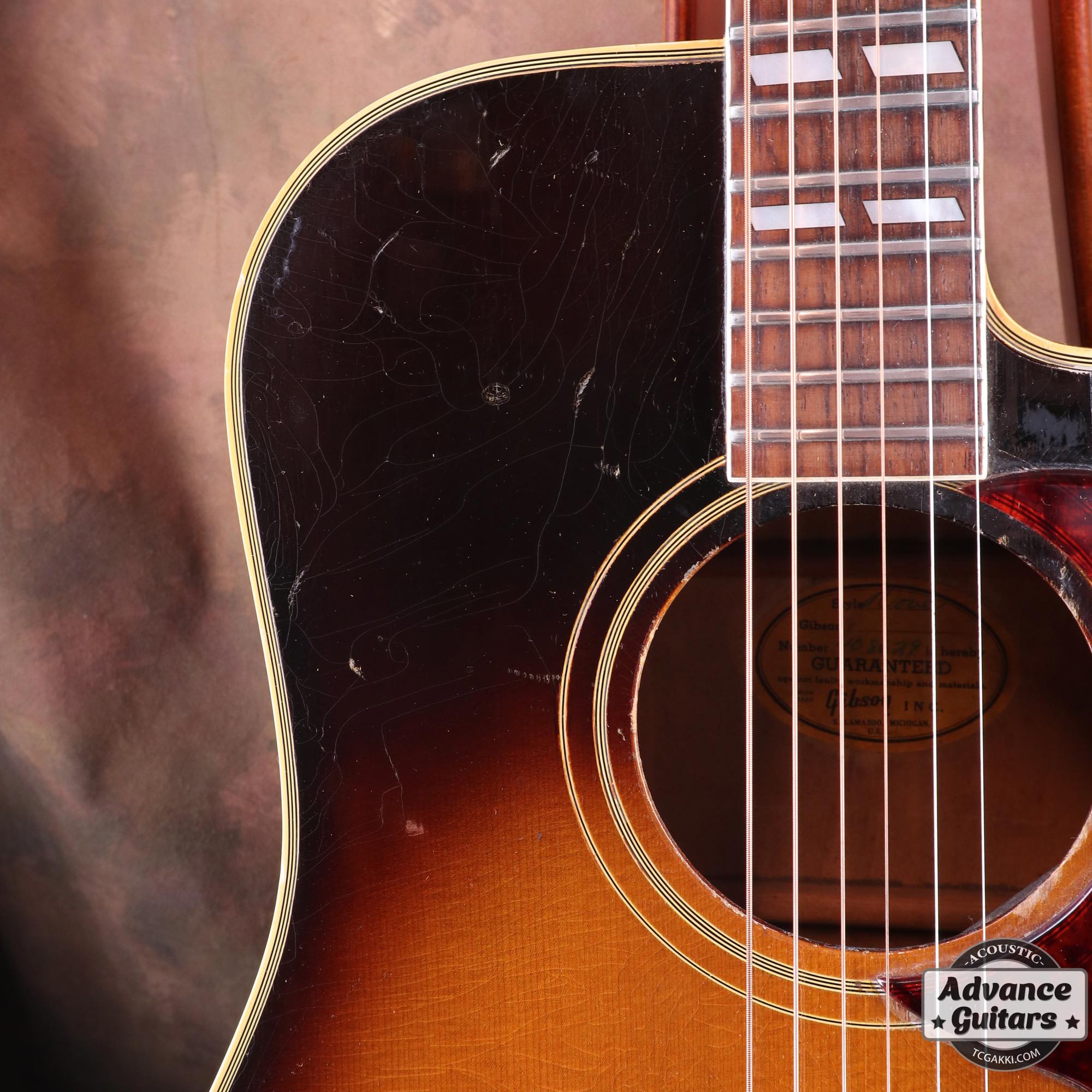 1966年製 Dove Cutaway Custom - Image 6