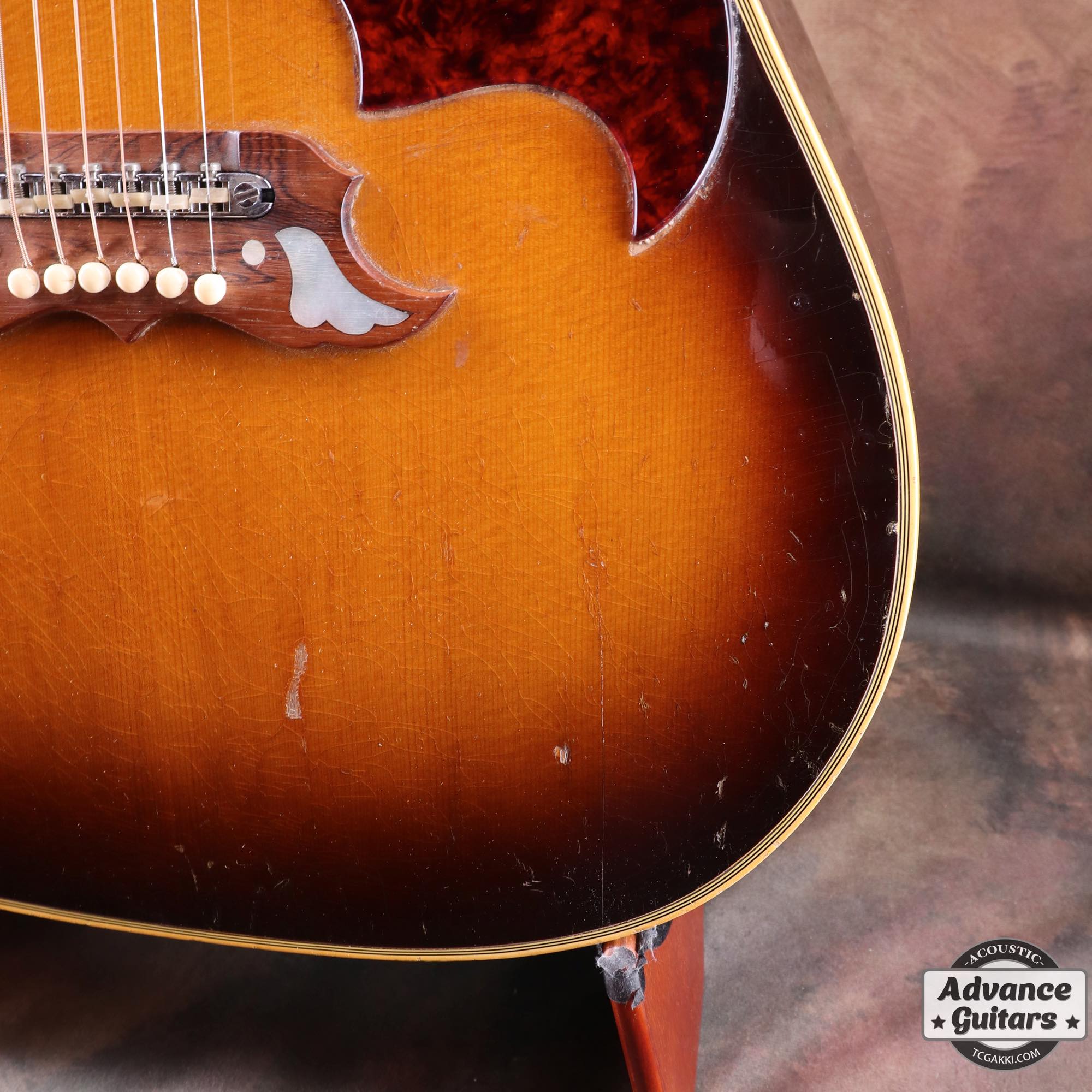 1966年製 Dove Cutaway Custom - Image 8