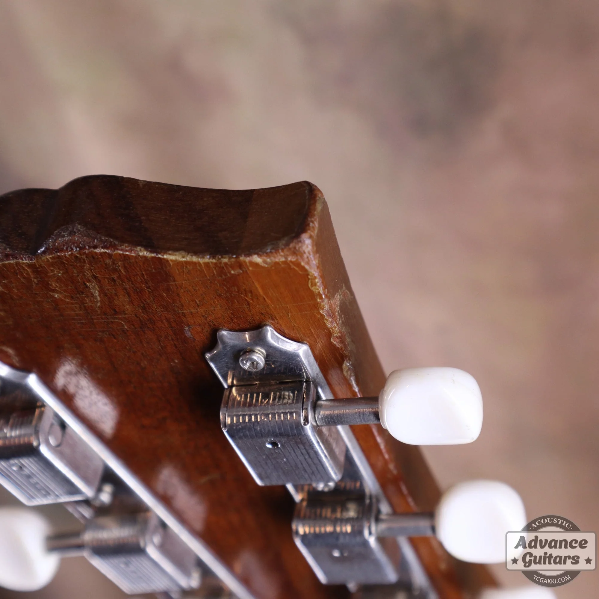 Gibson 1967年〜68年製 LG-0 - Image 61