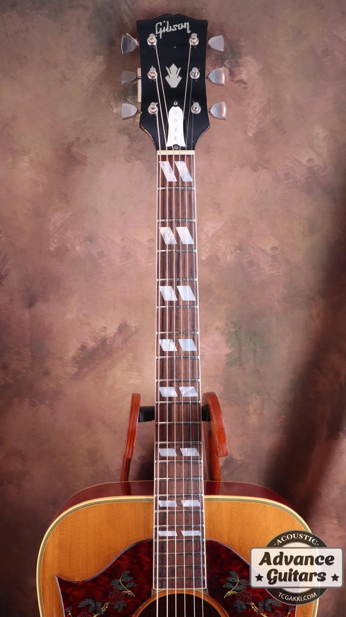 1968年製 Dove Double Pickguard - Image 11