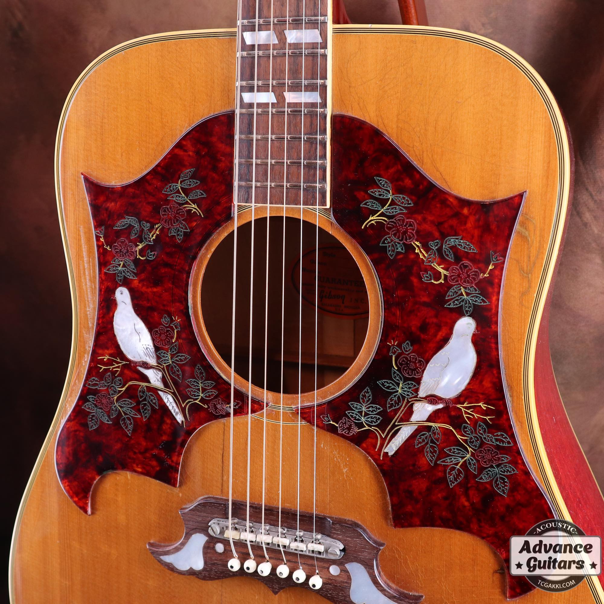 1968年製 Dove Double Pickguard - Image 16
