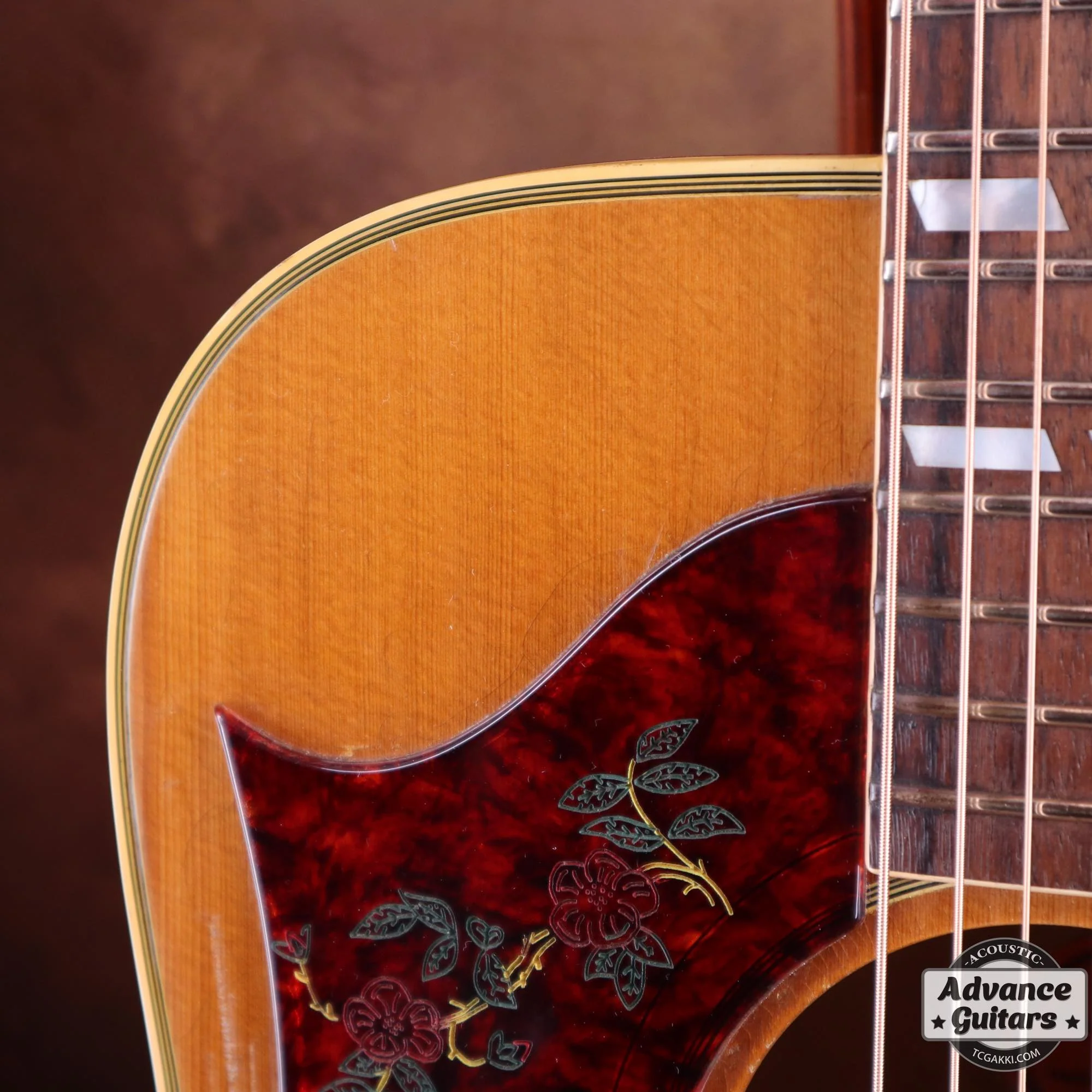1968年製 Dove Double Pickguard - Image 24