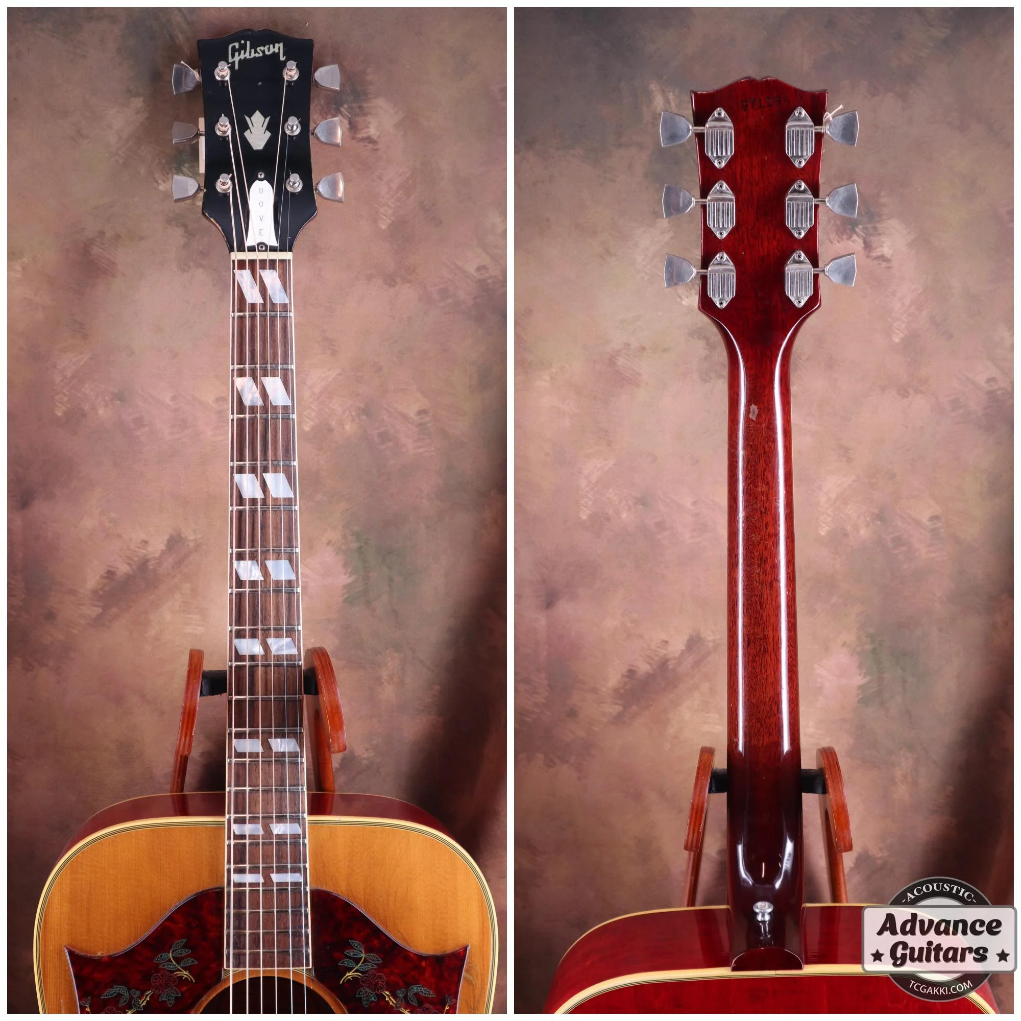1968年製 Dove Double Pickguard - Image 7