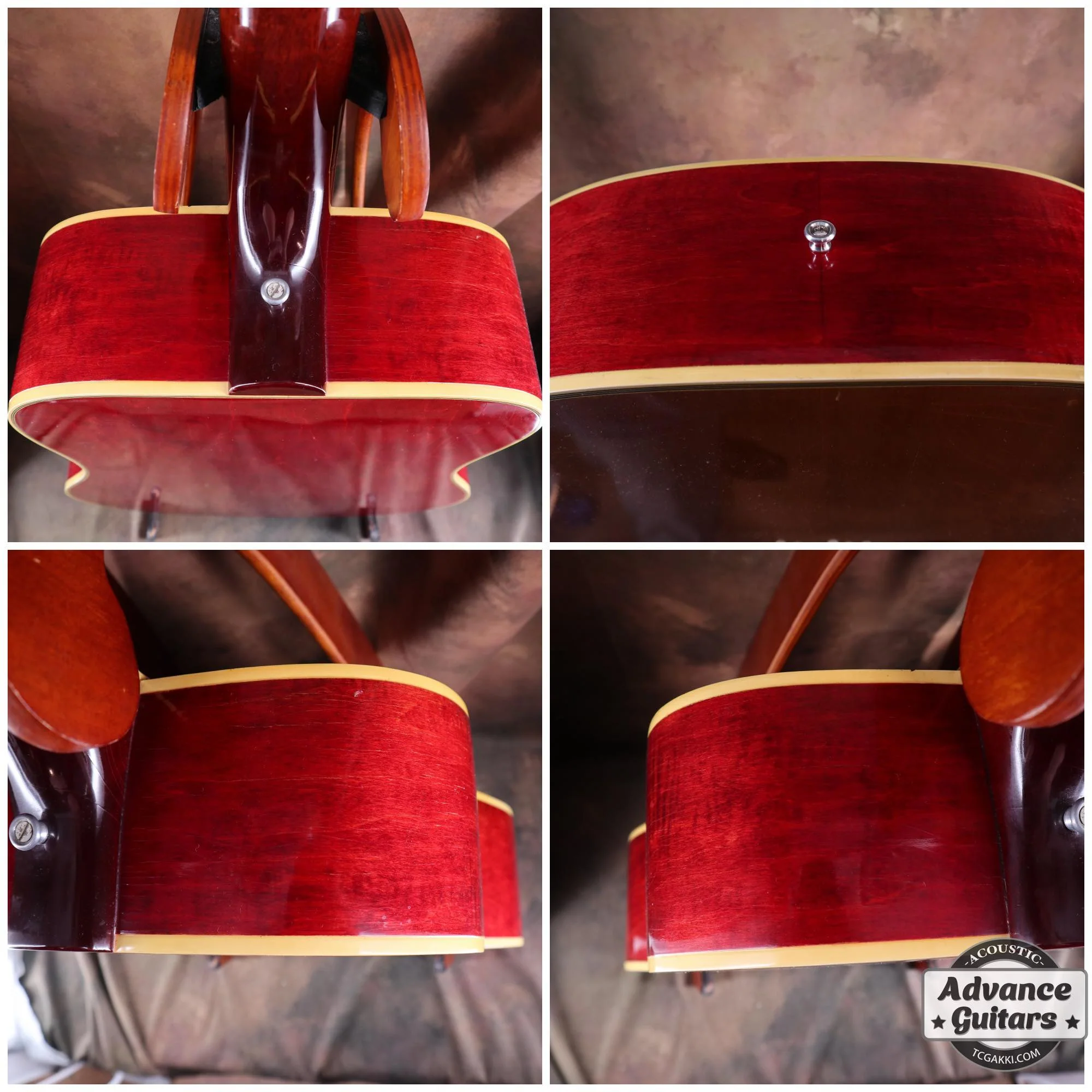 1968年製 Dove Double Pickguard - Image 9