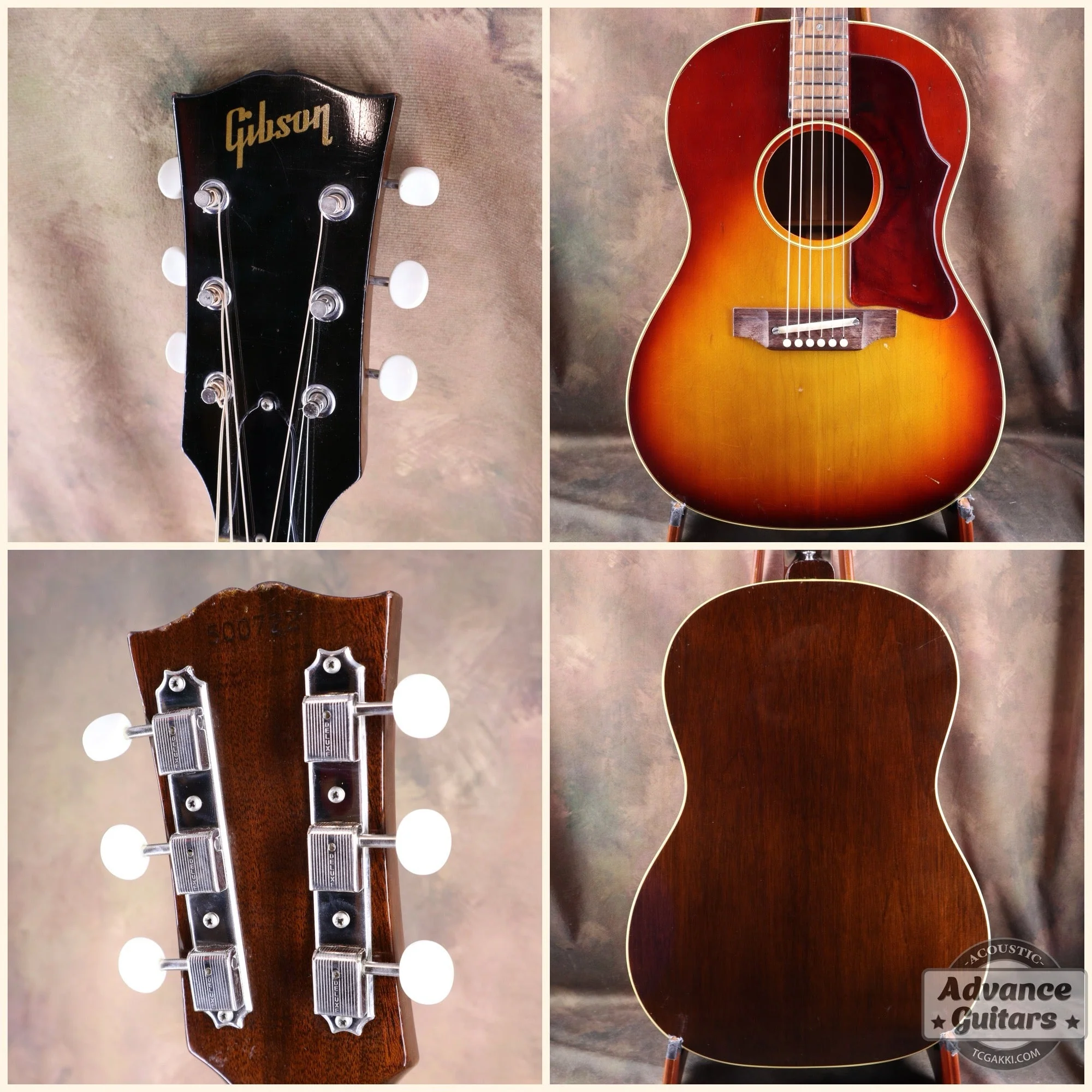 Gibson 1969年製 B-25 - Image 2