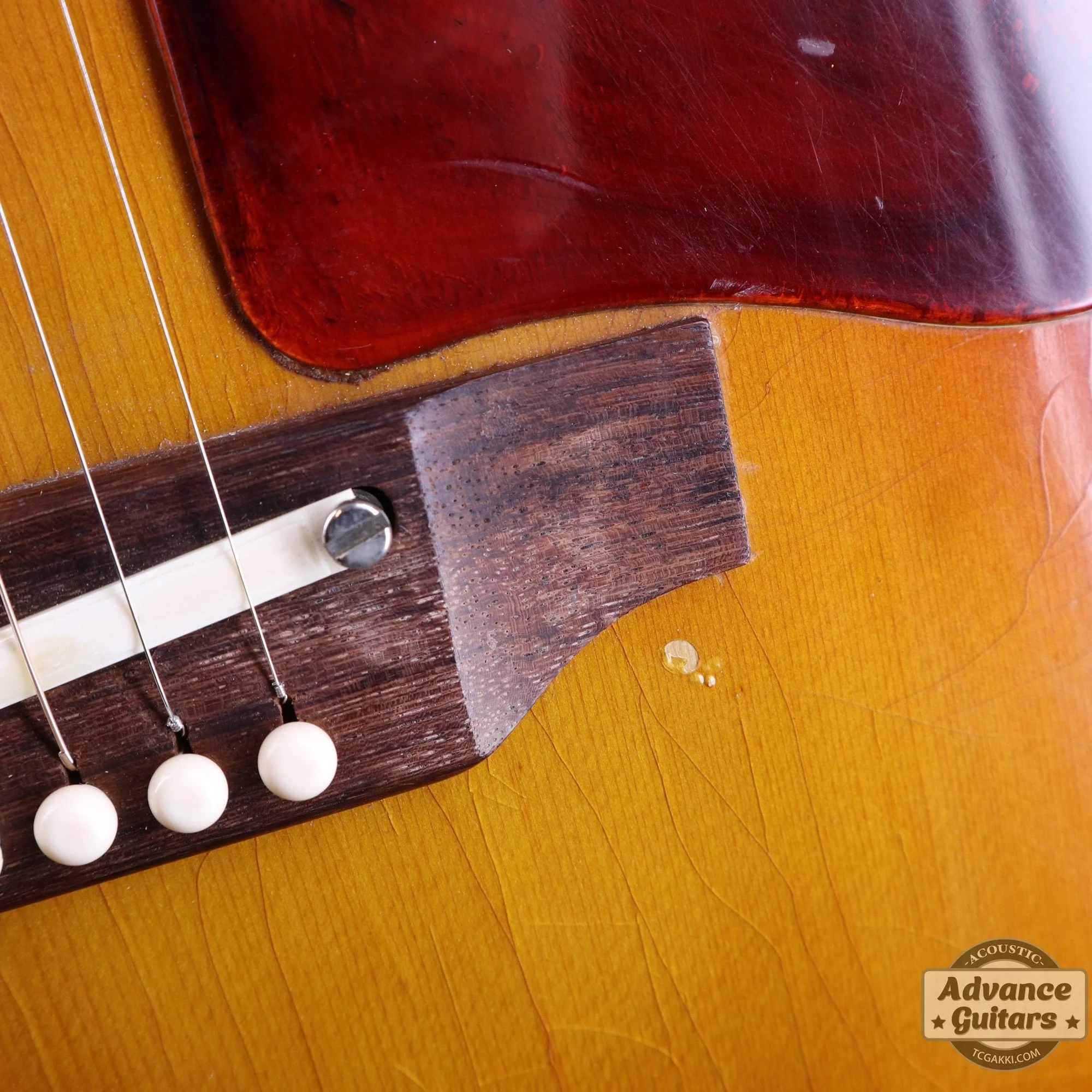 Gibson 1969年製 B-25 - Image 41