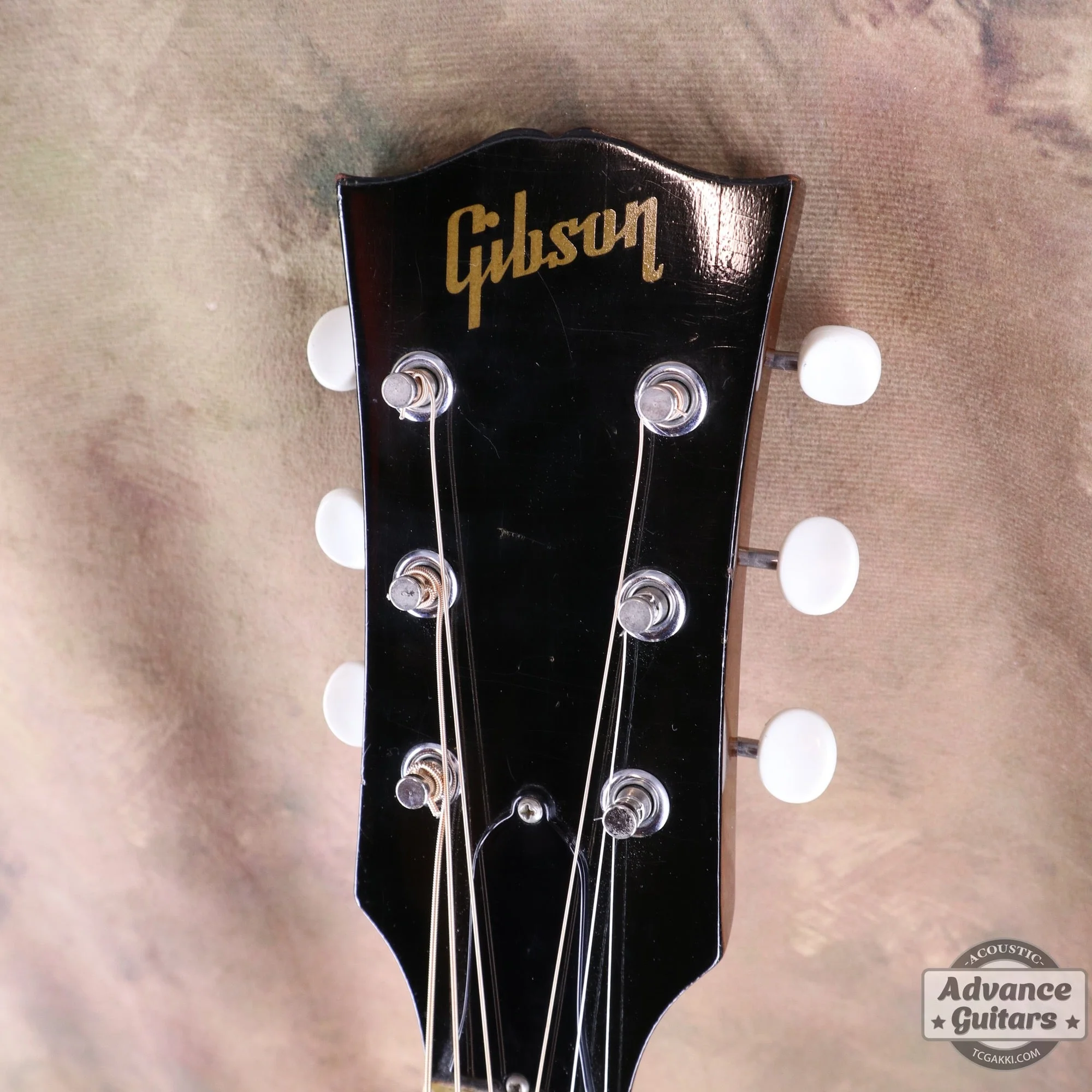 Gibson 1969年製 B-25 - Image 7
