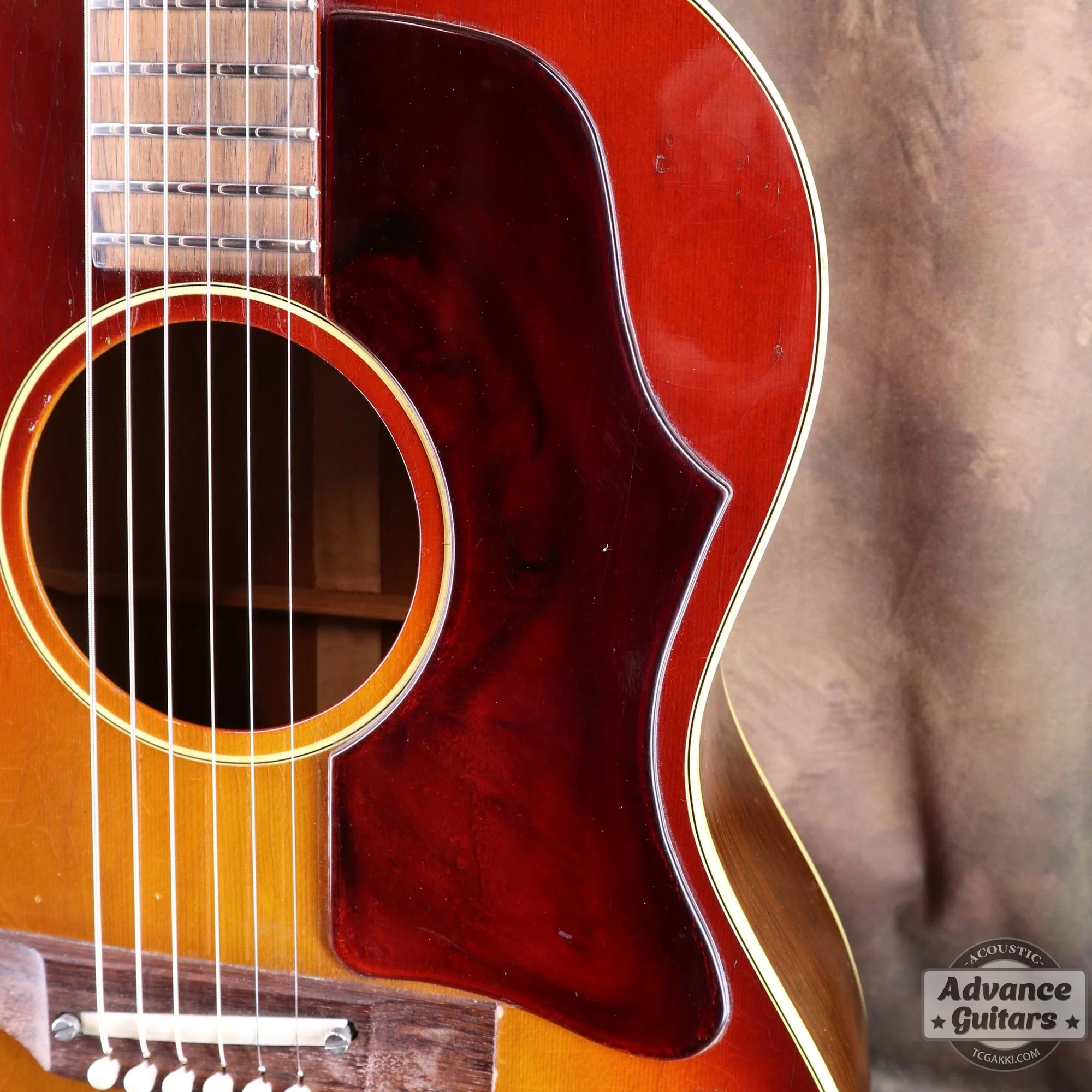 Gibson 1969年製 B-25 - Image 8