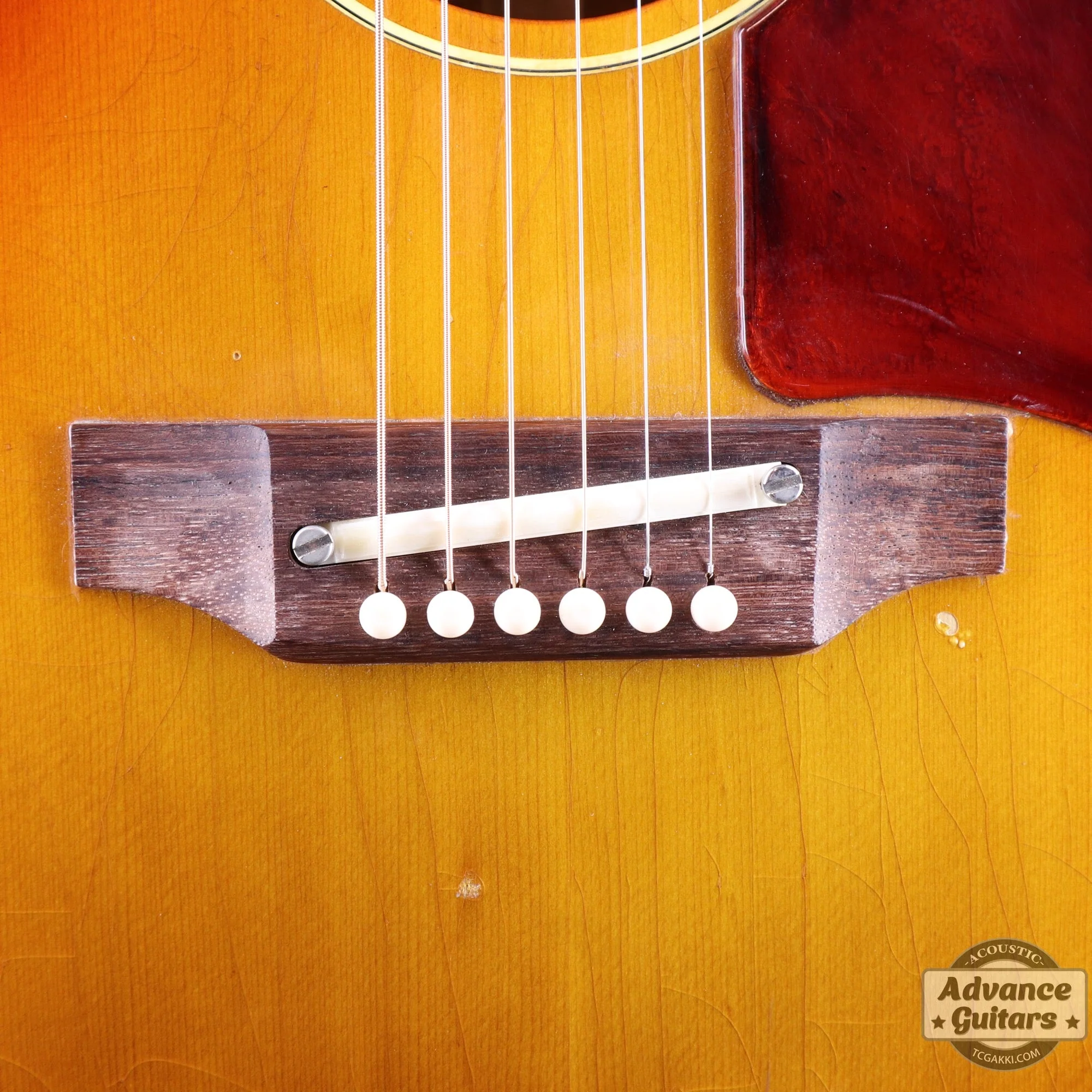 Gibson 1969年製 B-25 - Image 9