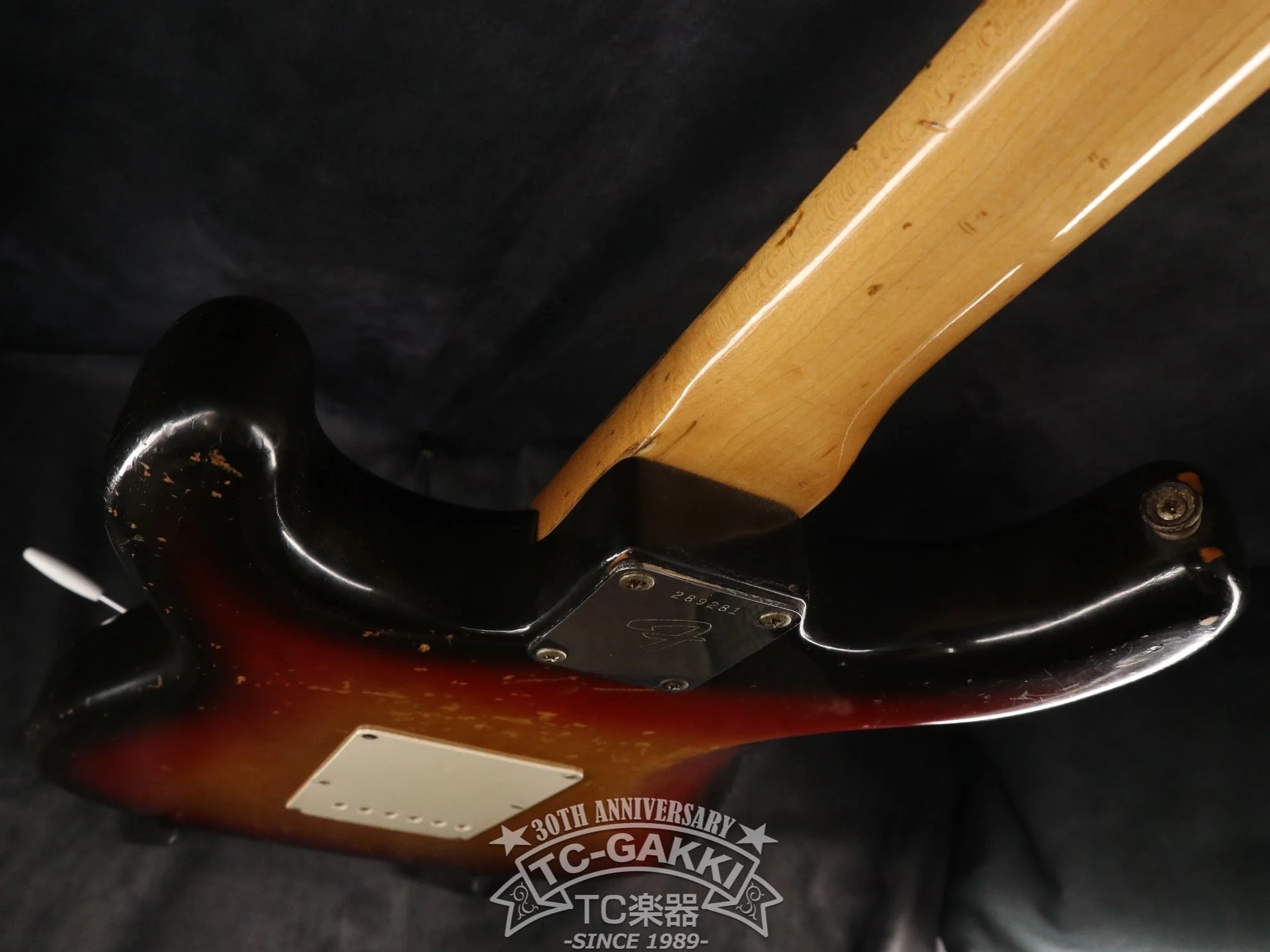 1970 Fender STRATOCASTER Alder / Rose - Image 20