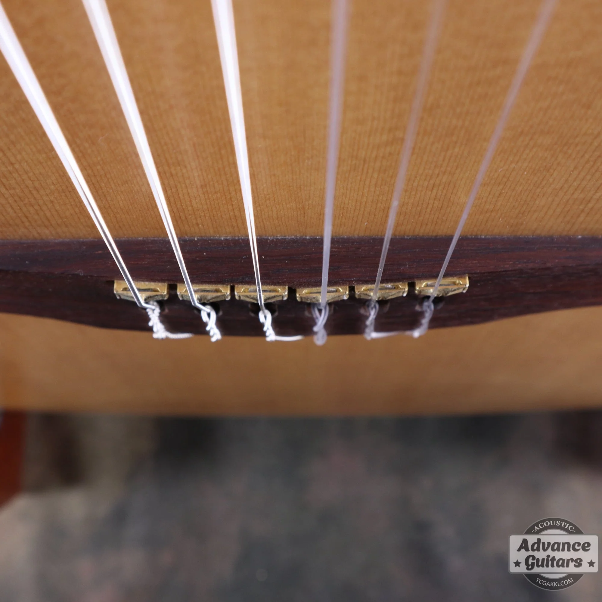 Godin 2002年製 Multiac Nylon SG - Image 14