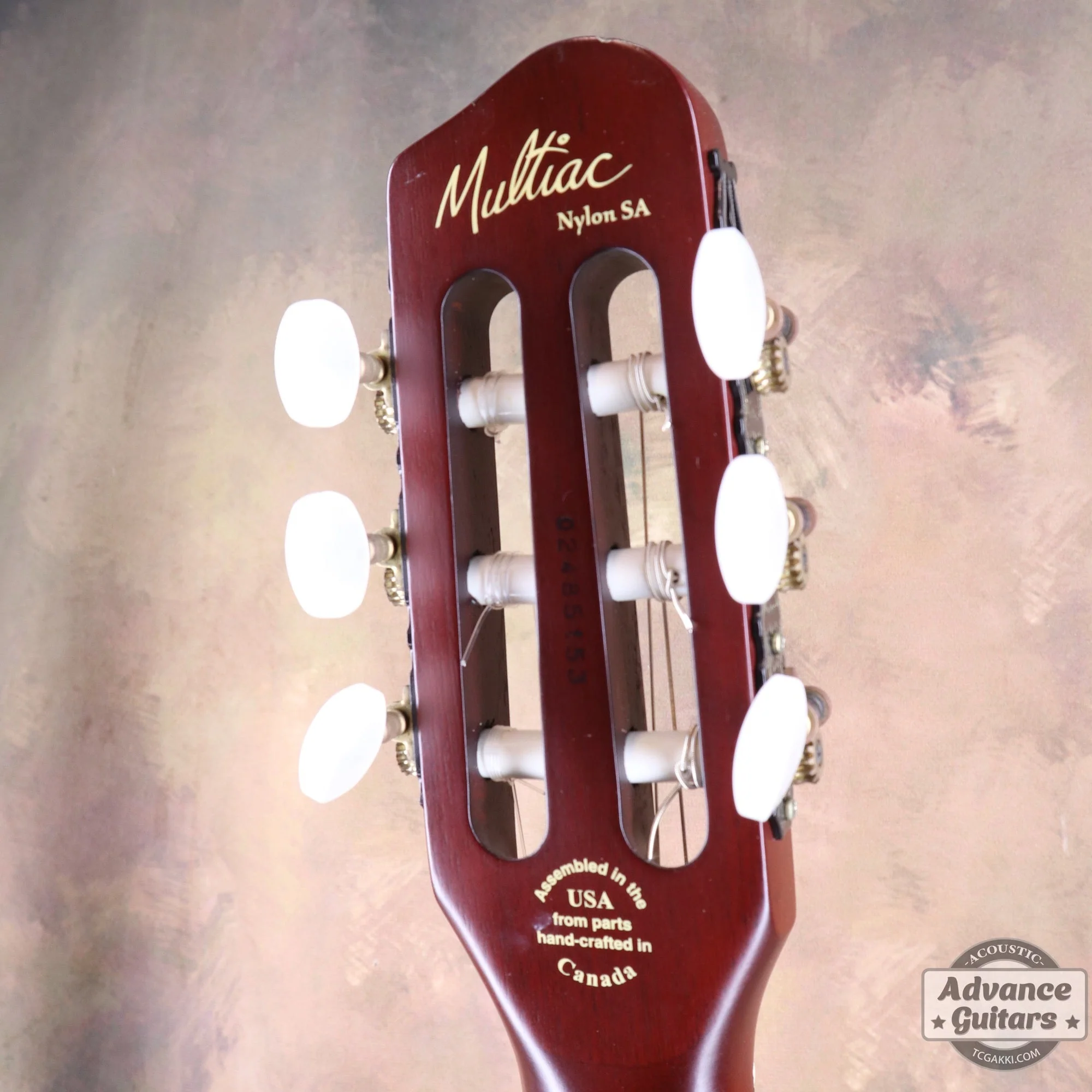 Godin 2002年製 Multiac Nylon SG - Image 23