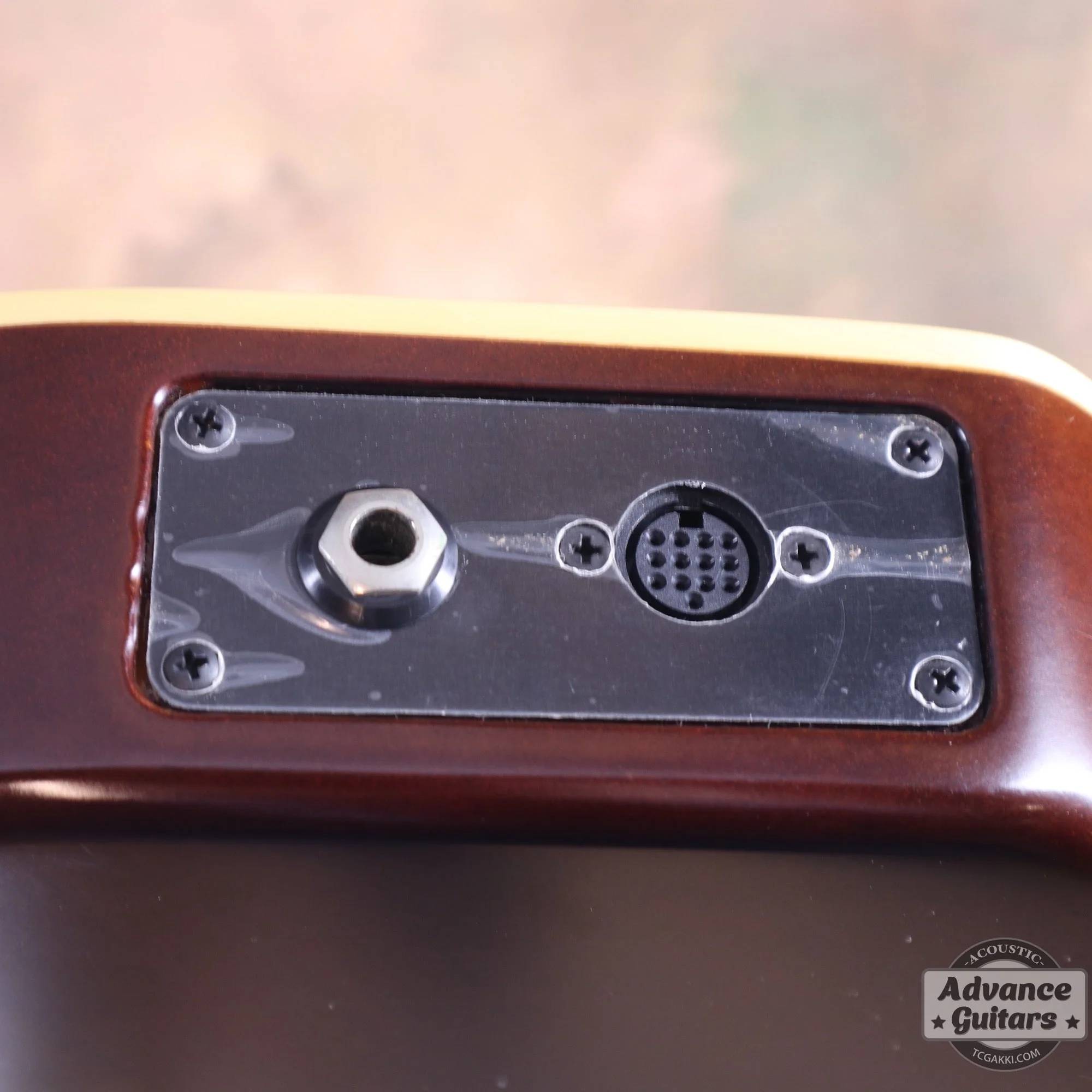 Godin 2002年製 Multiac Nylon SG - Image 29
