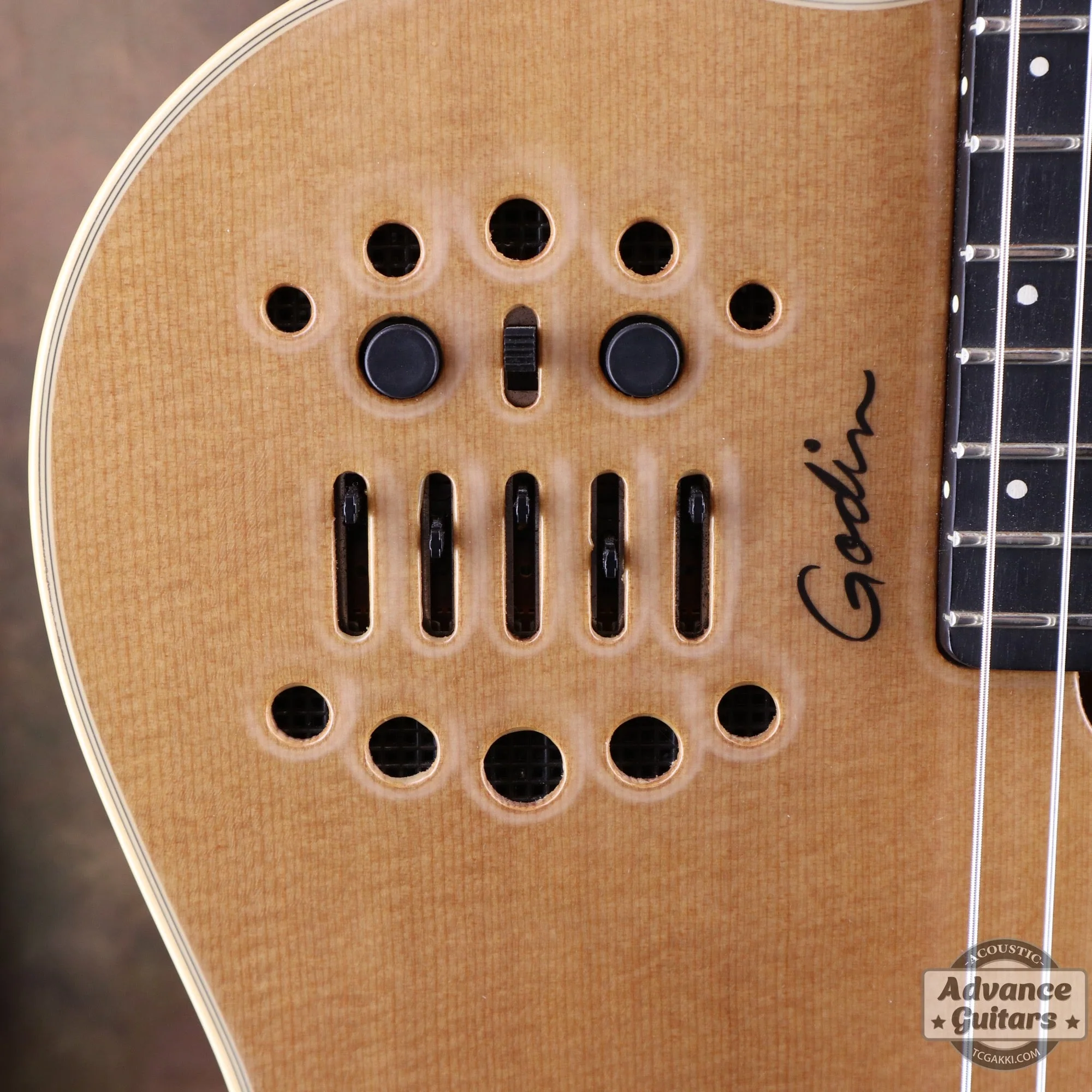 Godin 2002年製 Multiac Nylon SG - Image 31