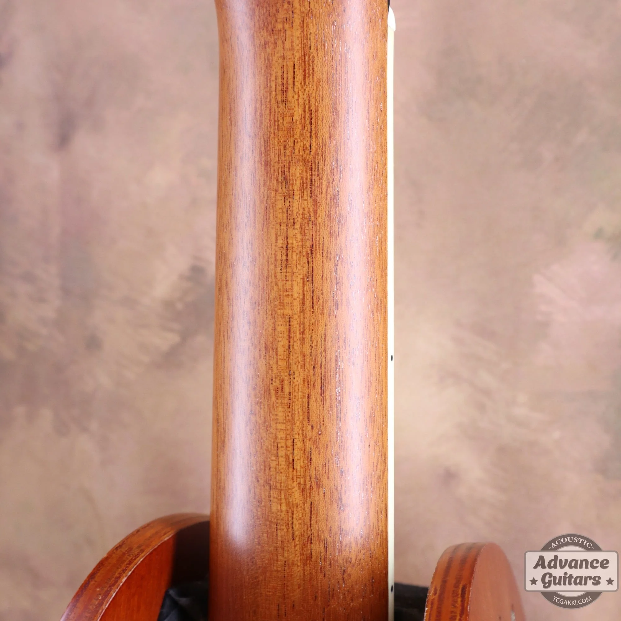 2007年製 P-09 Flamed Maple - Image 28