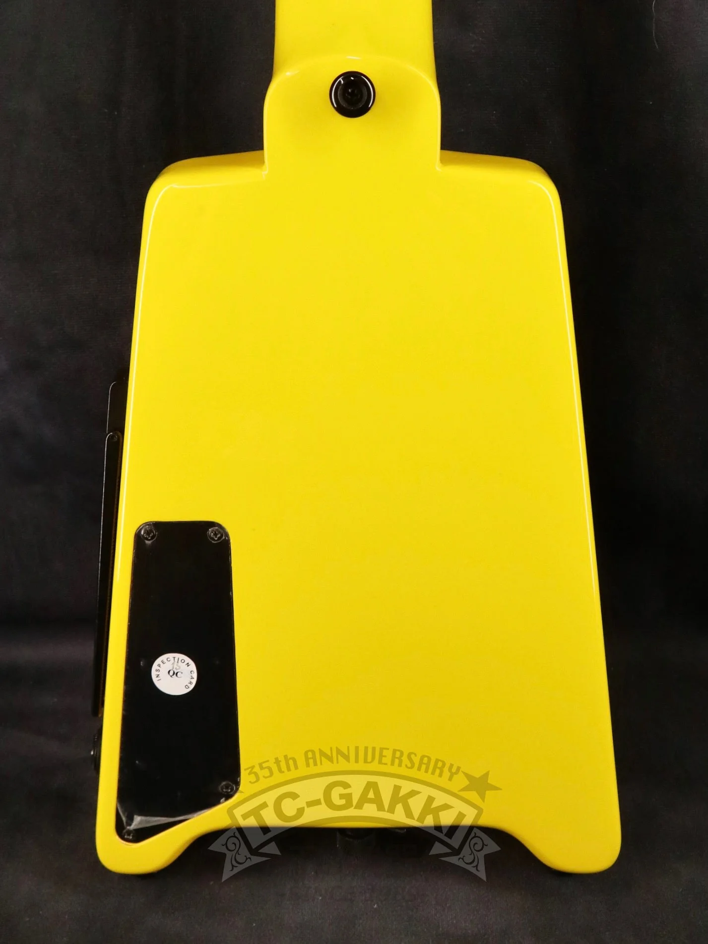 2021 GT-PRO Deluxe - Image 4