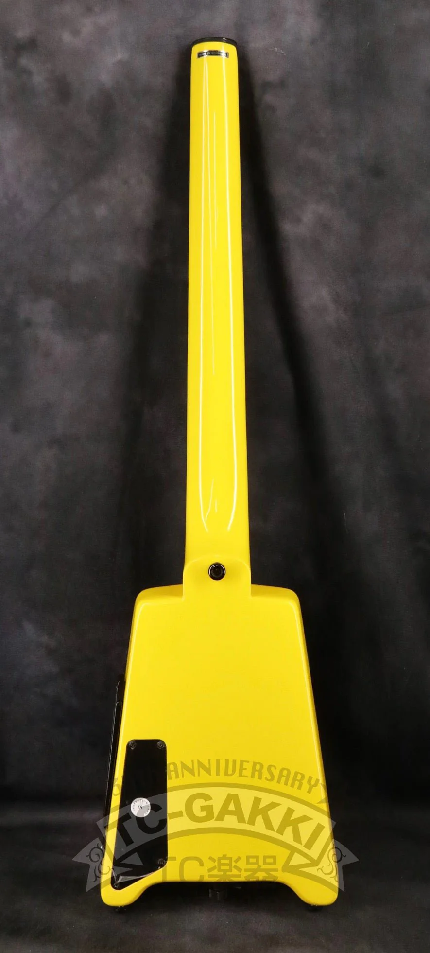 2021 GT-PRO Deluxe - Image 5