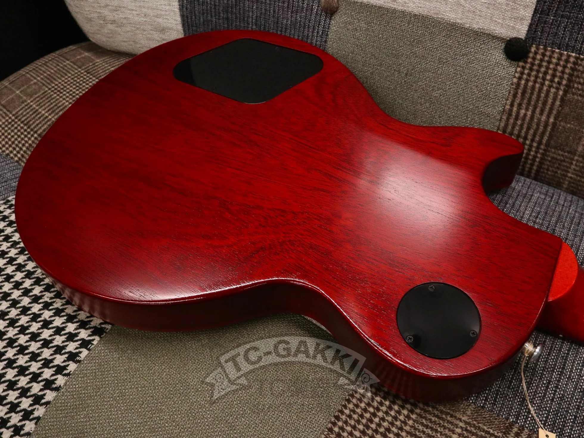 2021 Les Paul Tribute - Image 22