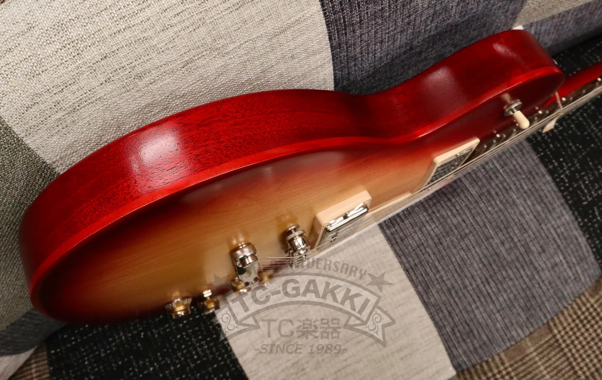 2021 Les Paul Tribute - Image 23