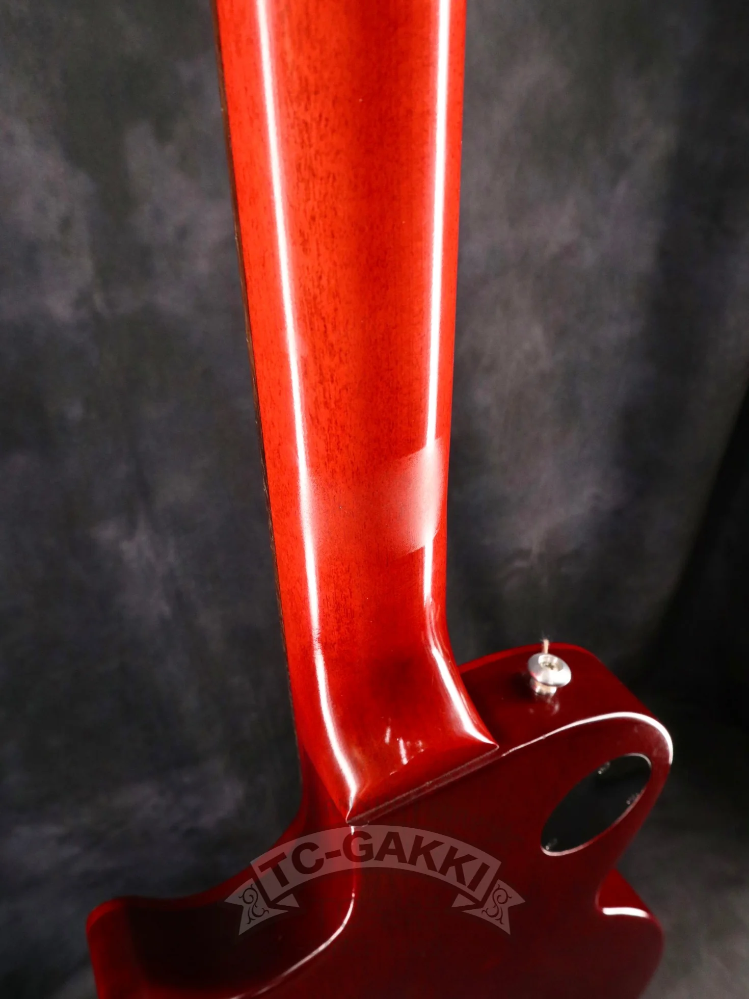 2021 Les Paul Tribute - Image 9