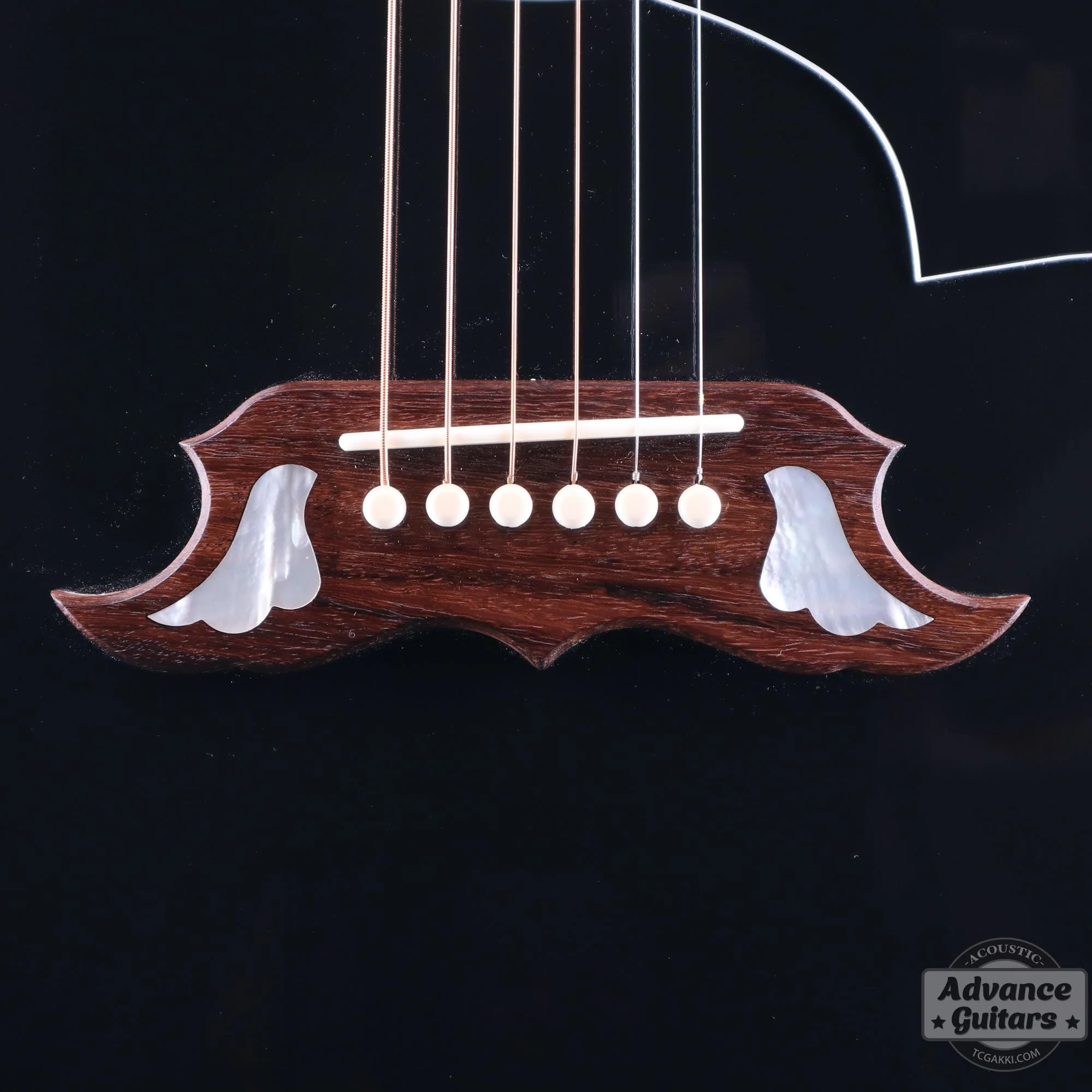 2022年製 Elvis Dove - Image 10