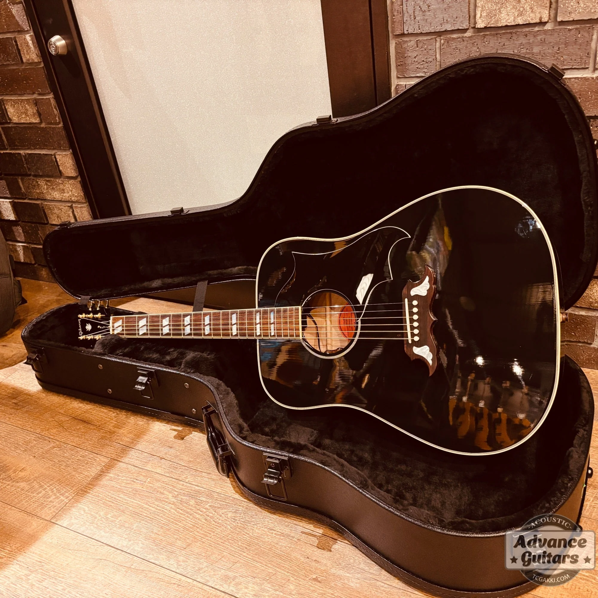 2024年製 ELVIS Dove - Image 33
