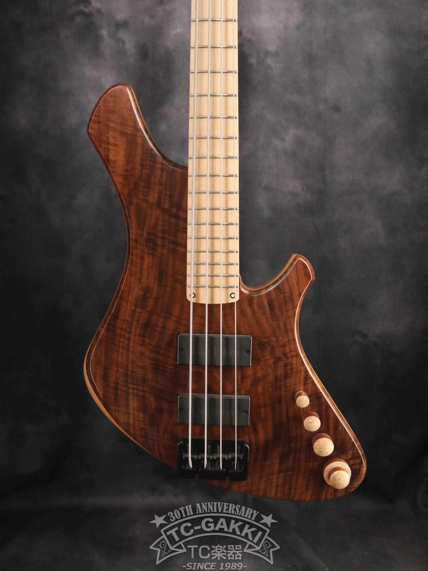 2024 Infinity 4 strings NAMM edition 2024
