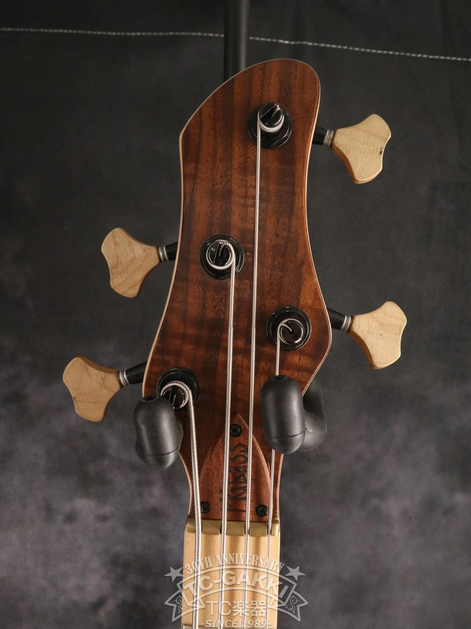 2024 Infinity 4 strings NAMM edition 2024 - Image 3