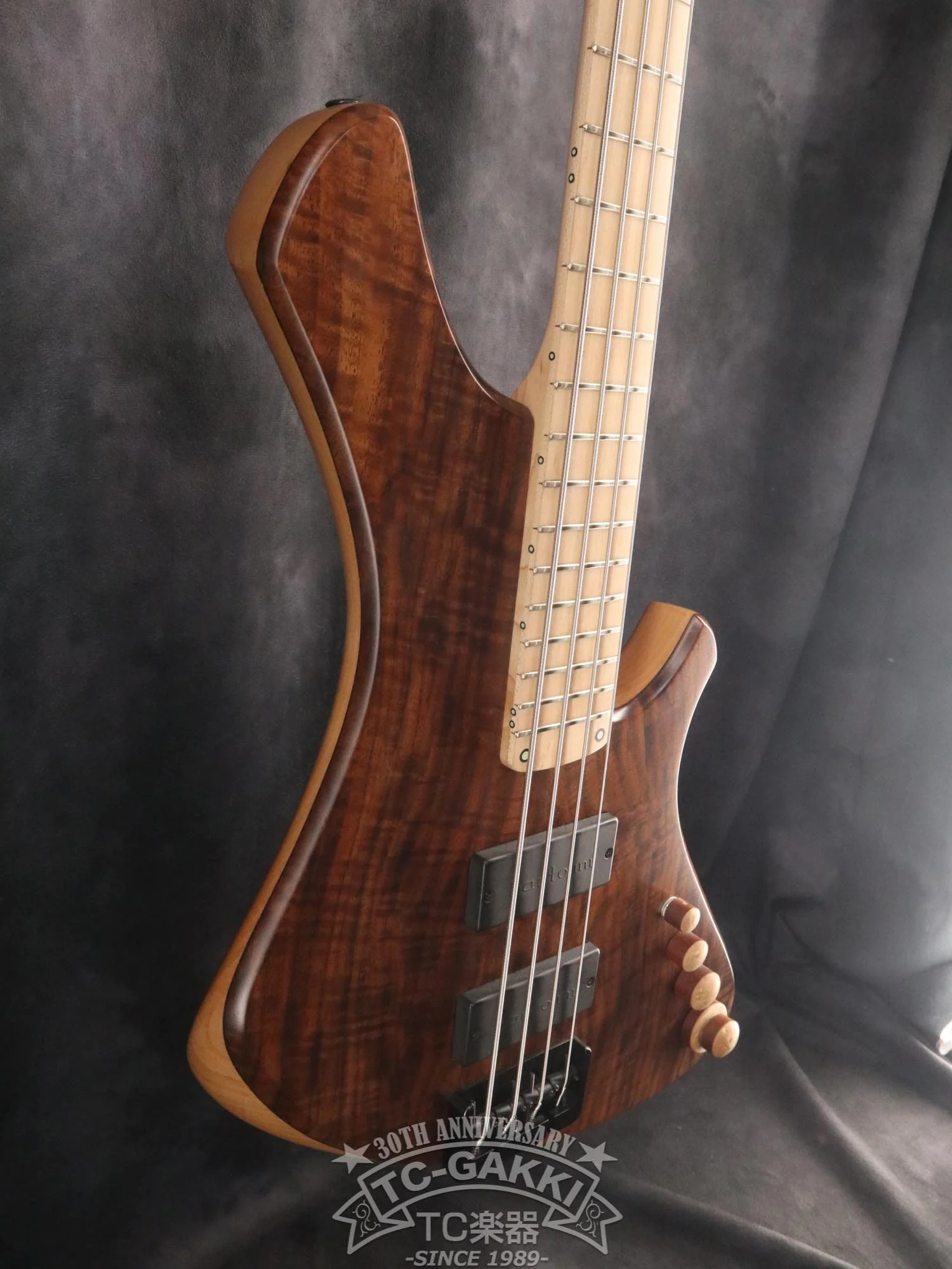 2024 Infinity 4 strings NAMM edition 2024 - Image 4