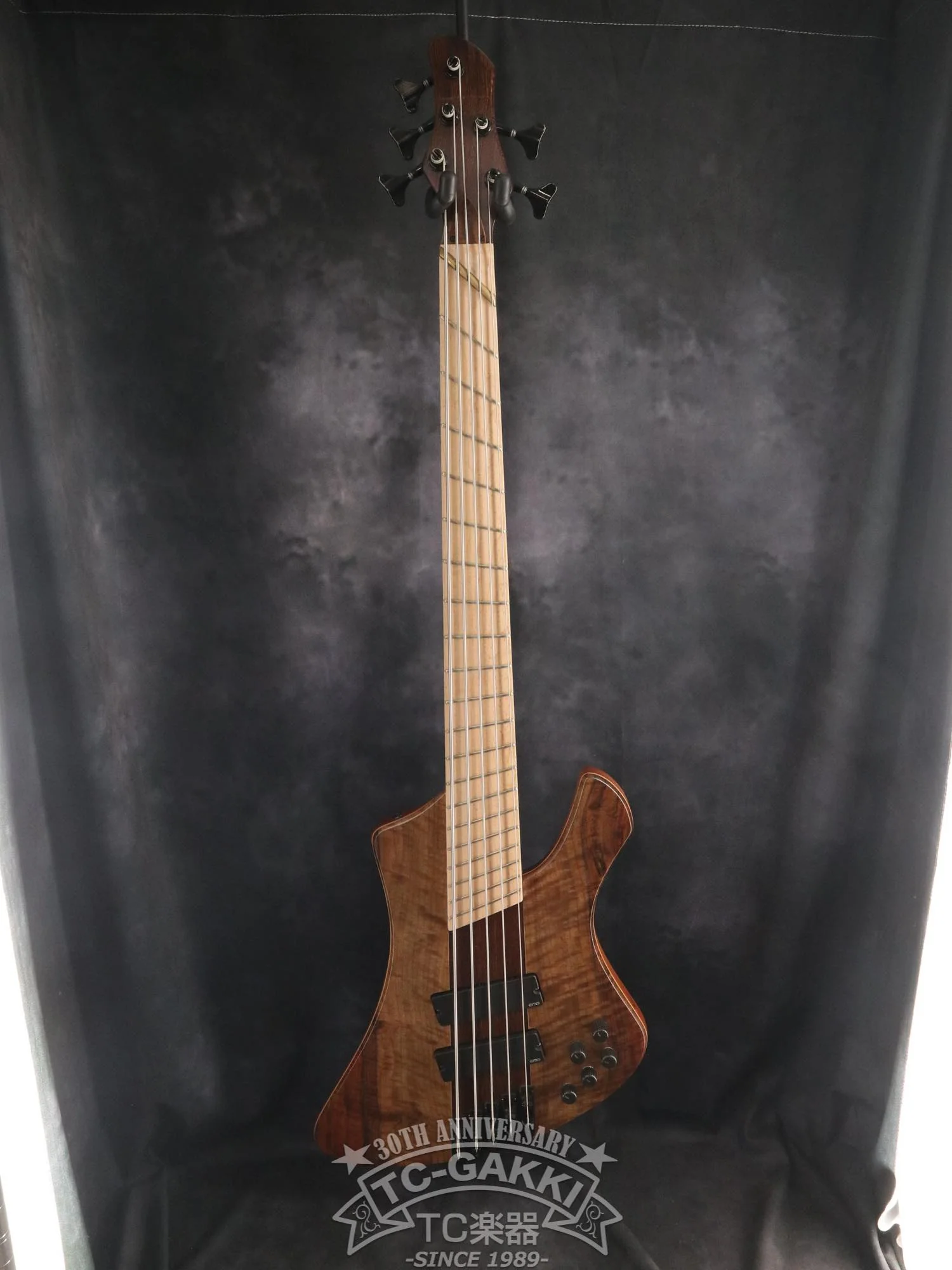 2024 Infinity Rockbird 5 strings - Image 2