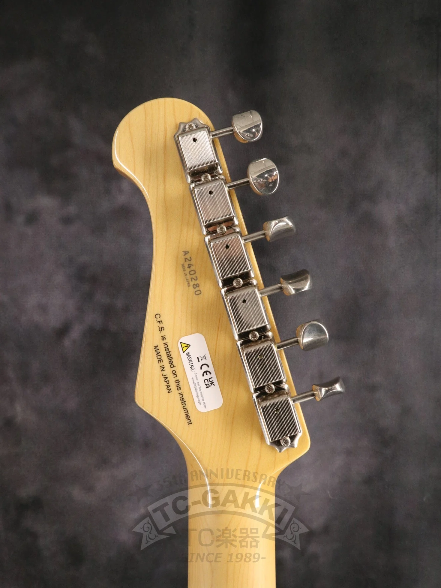 2024 NST100RAL Sunburst - Image 7