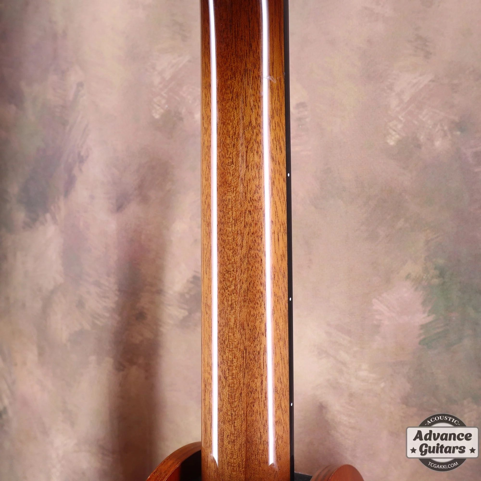 Takamine 2021年製 500 CUSTOM - Image 16